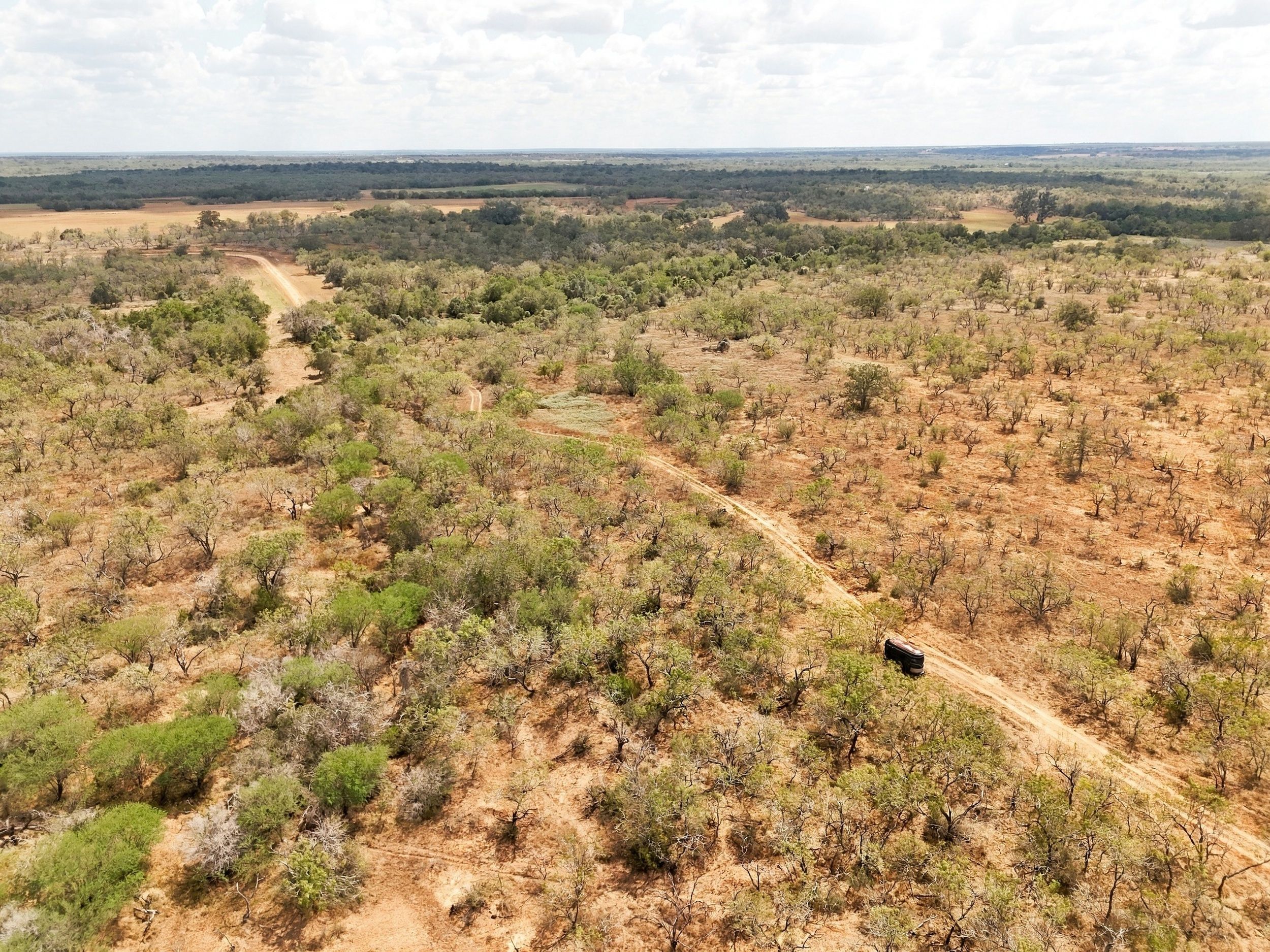 186+/- Acre Post Oak Hill Ranch - 物件實景