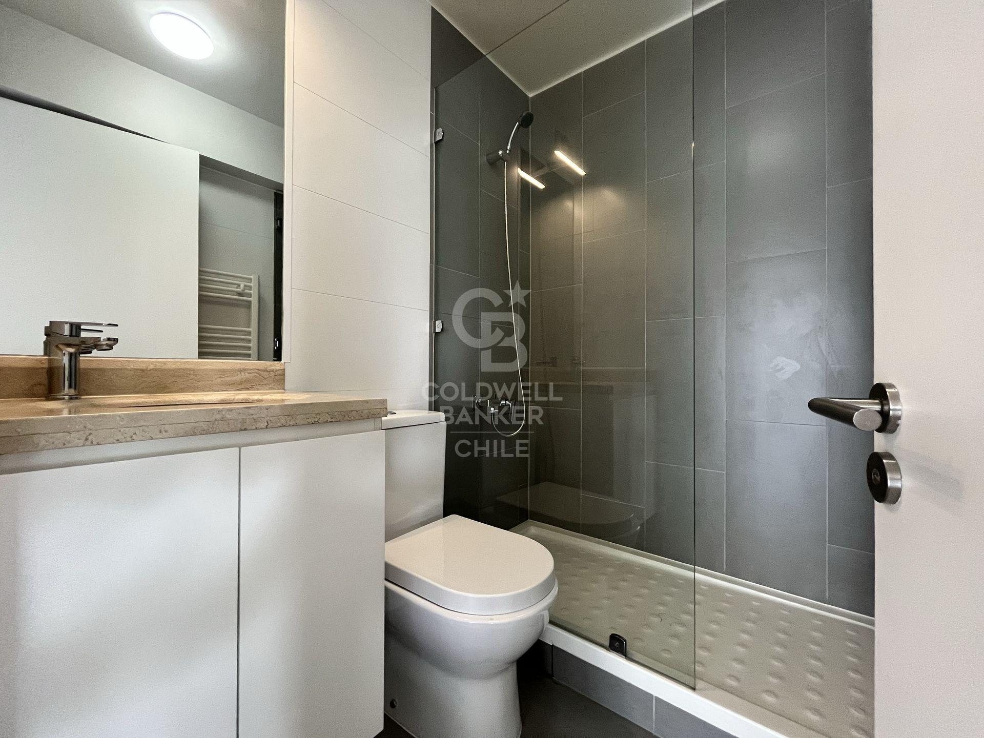 Providencia, Chile, 4 Bedrooms Bedrooms, ,3 BathroomsBathrooms,Residential,For Sale,1804646