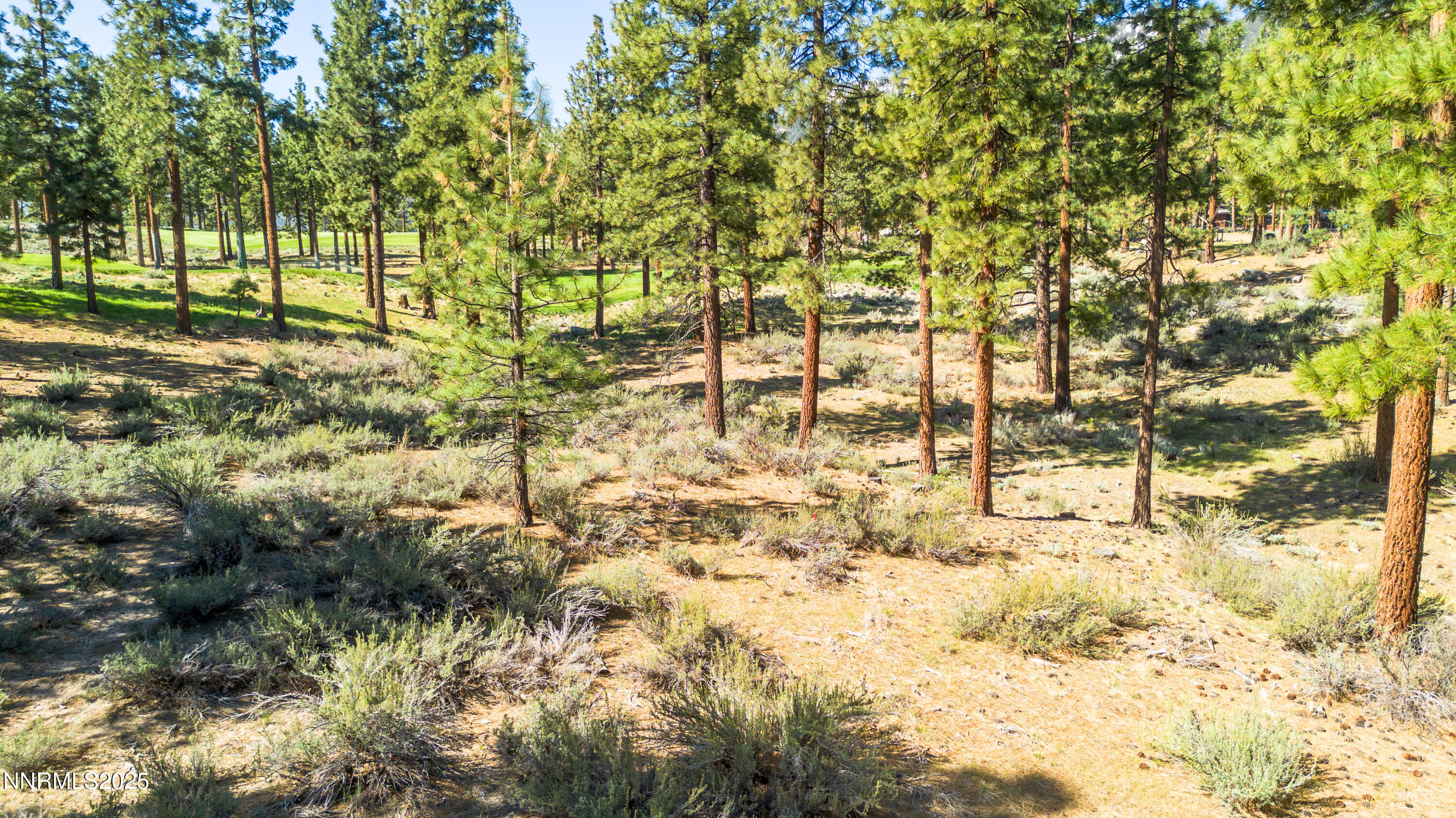 Carson City, Nevada, 89705, United States, ,Land,For Sale,1846834