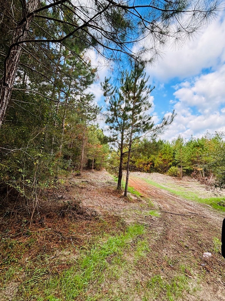 Abbeville, Georgia, 31001, United States, ,Land,For Sale,1975130