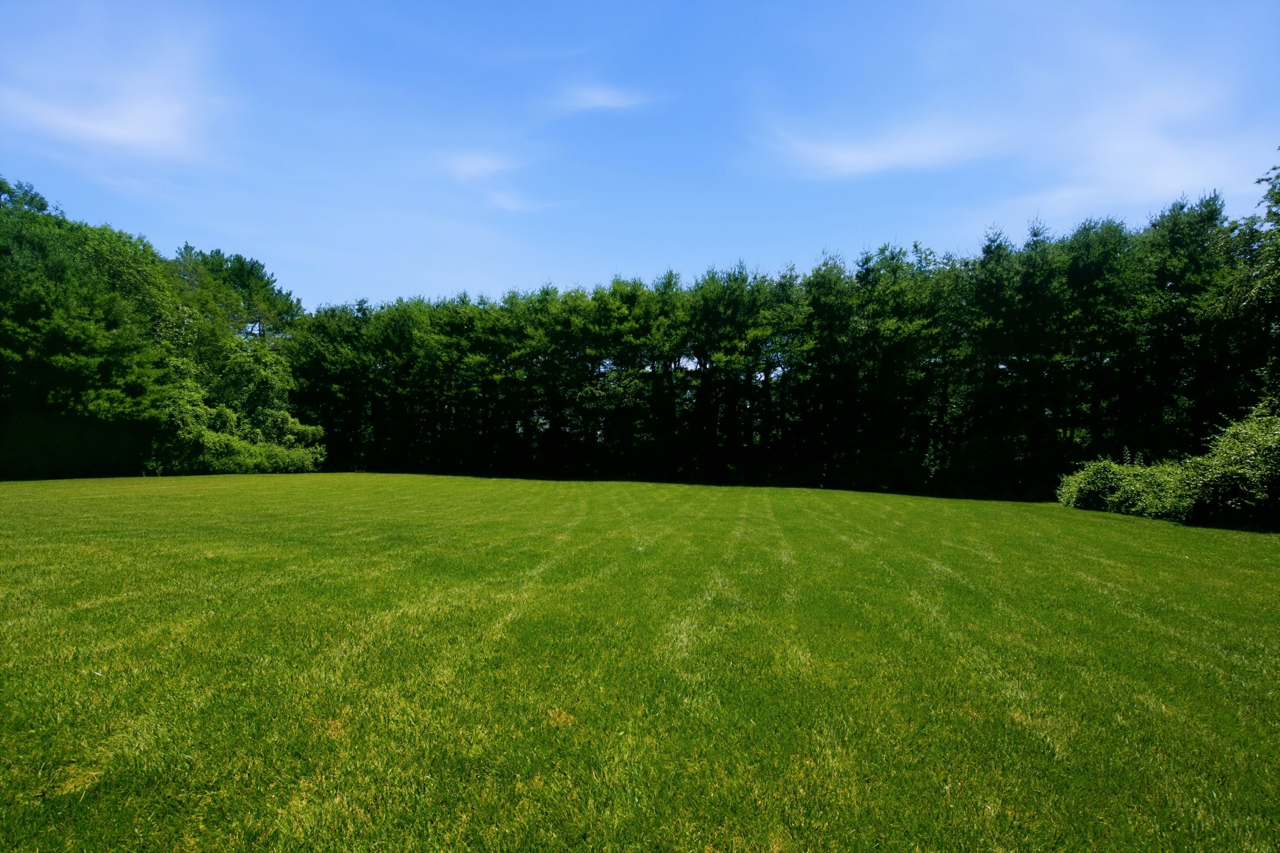  61 Linden Lane, Upper Brookville, NY, 11545 - 物件實景