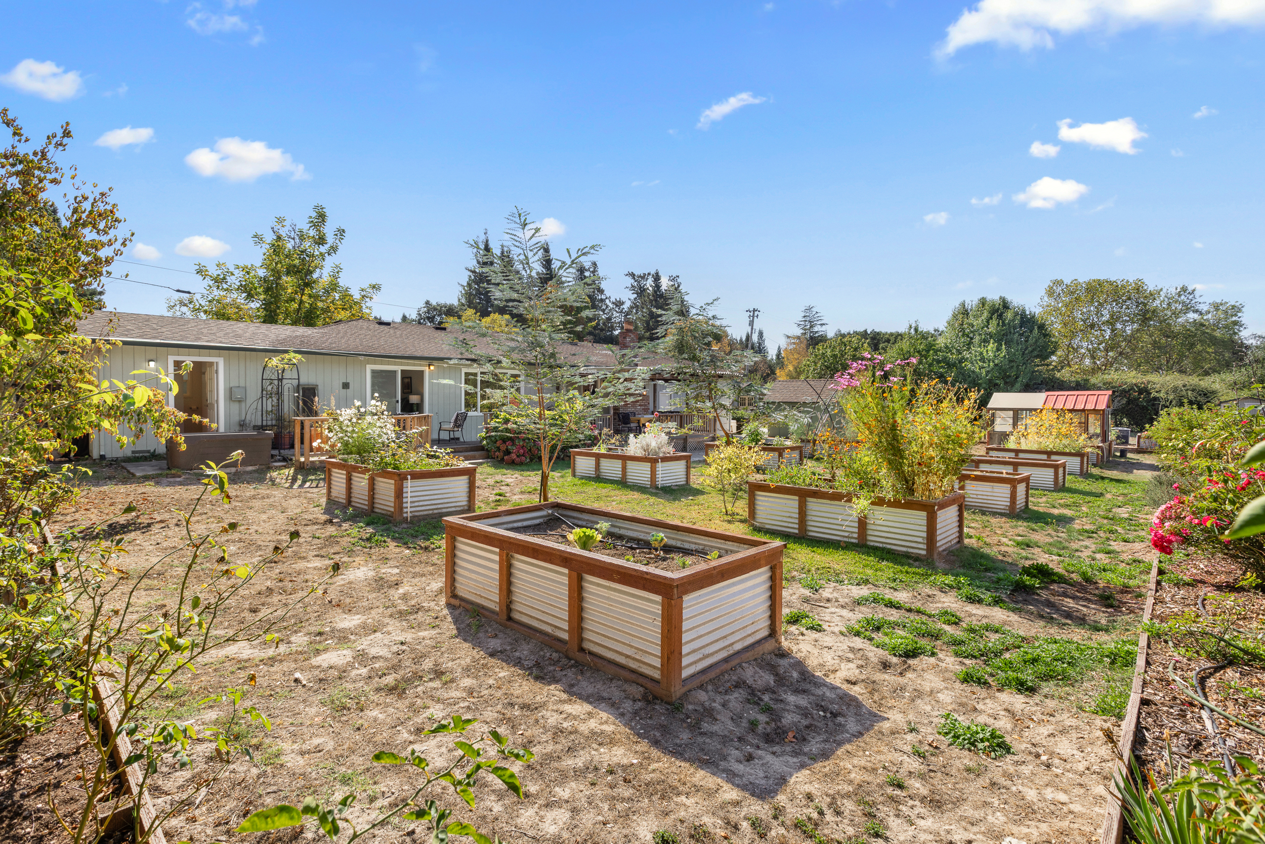  Country Charm, Creative Spaces and an Acre of Possibilities in Sebastopol - 物件實景