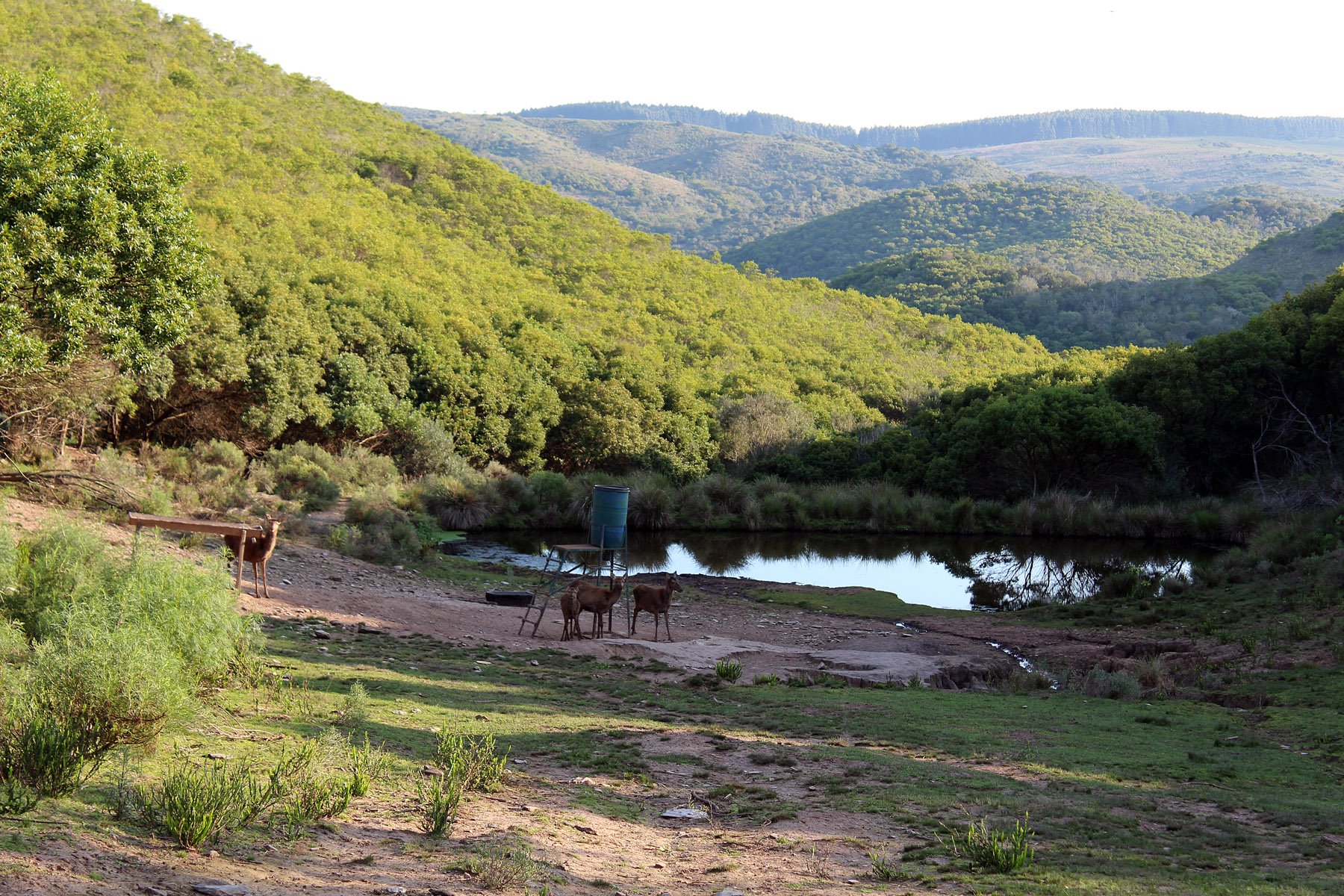  2577 acres Grand Hunting Estate - 物件實景