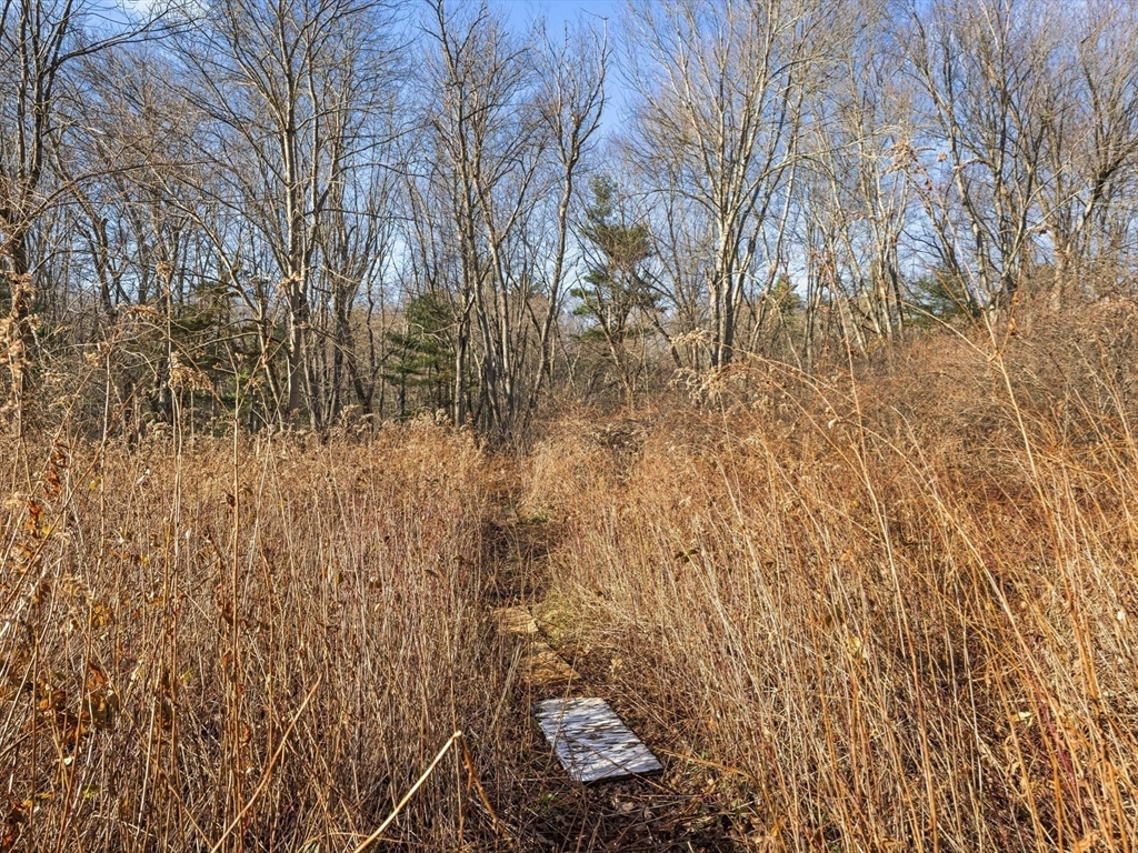 Concord, Massachusetts, 01742, United States, 2 Bedrooms Bedrooms, ,2 BathroomsBathrooms,Residential,For Sale,2001837