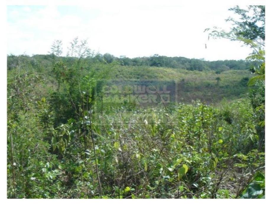 Carretera Federal M?rida-Valladolid, Benito Juárez, Quintana Roo, 77500, Mexico, 1 Bedroom Bedrooms, ,Residential,For Sale,Carretera Federal M?rida-Valladolid,1443849