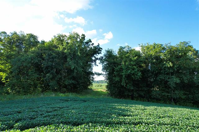 Soldiers Grove, Wisconsin, 54655, United States, ,Residential,For Sale,1904282