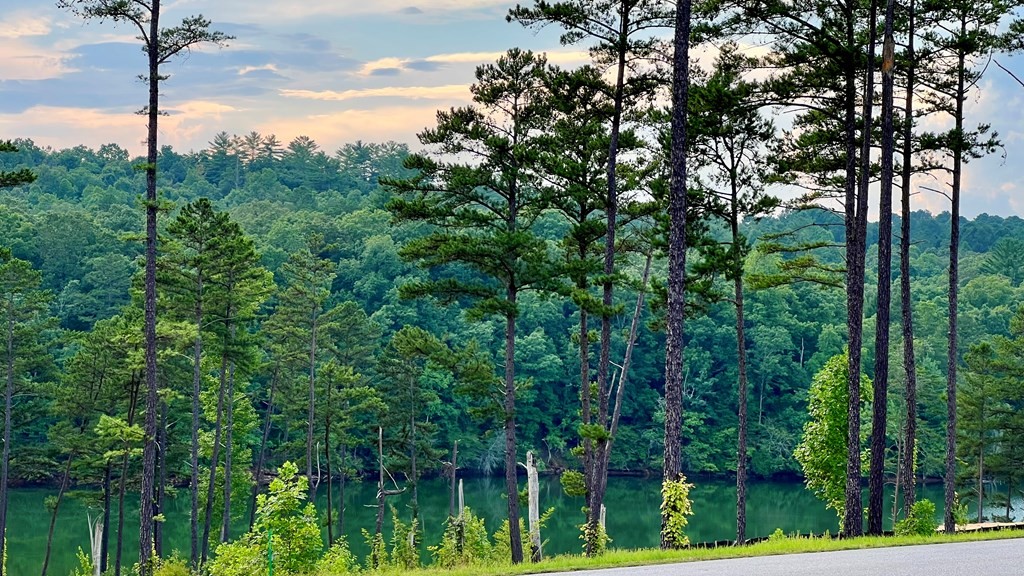 Blairsville, Georgia, 30512, United States, 3 Bedrooms Bedrooms, ,2 BathroomsBathrooms,Residential,For Sale,1930020