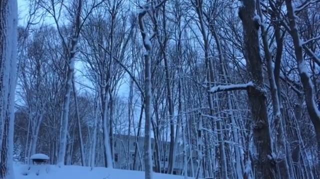 Chanhassen, Minnesota, 55317, United States, 5 Bedrooms Bedrooms, ,3 BathroomsBathrooms,Residential,For Sale,1926226