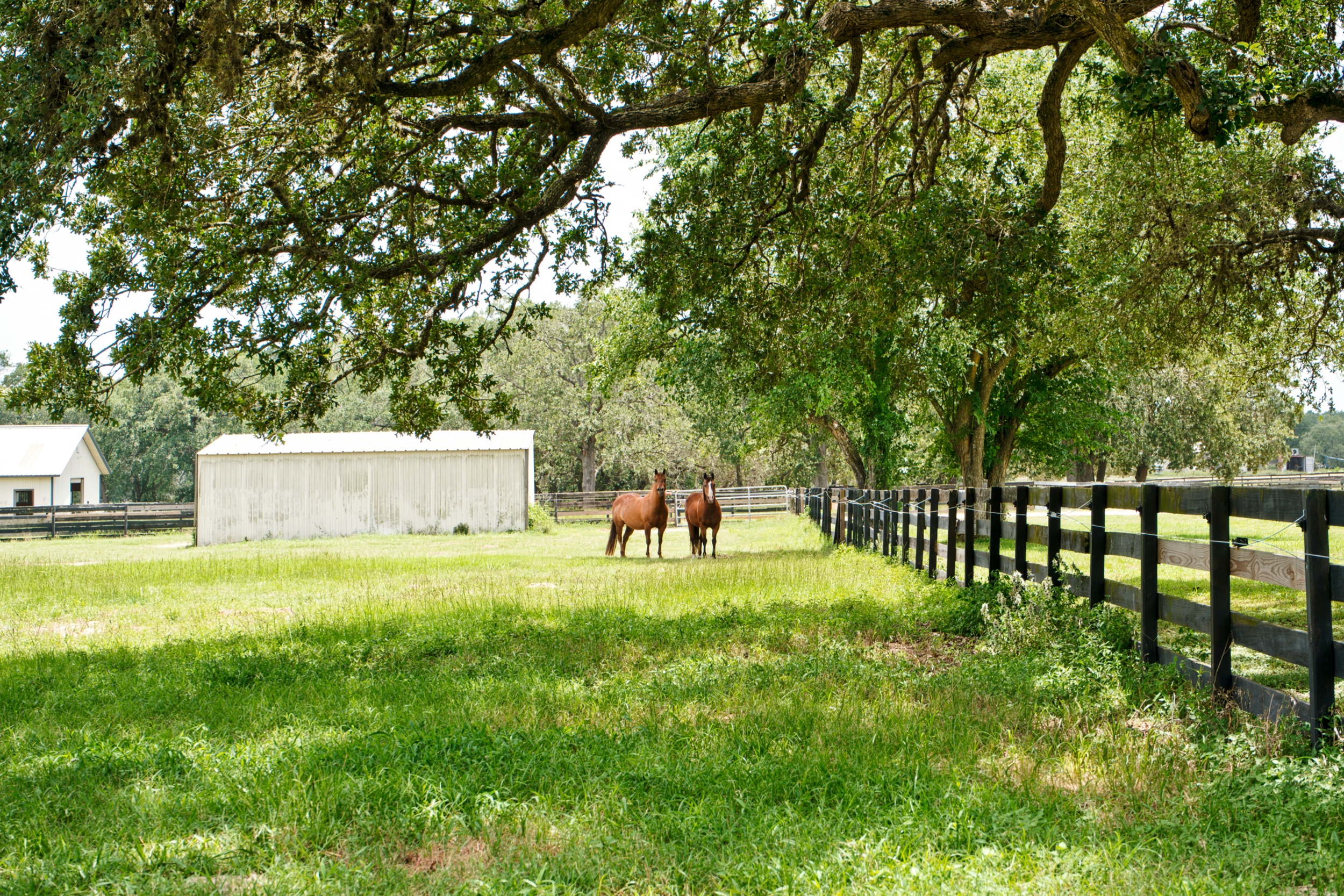  76.77 Acres, Colorado County, Weimer, TX 78962 - 物件實景