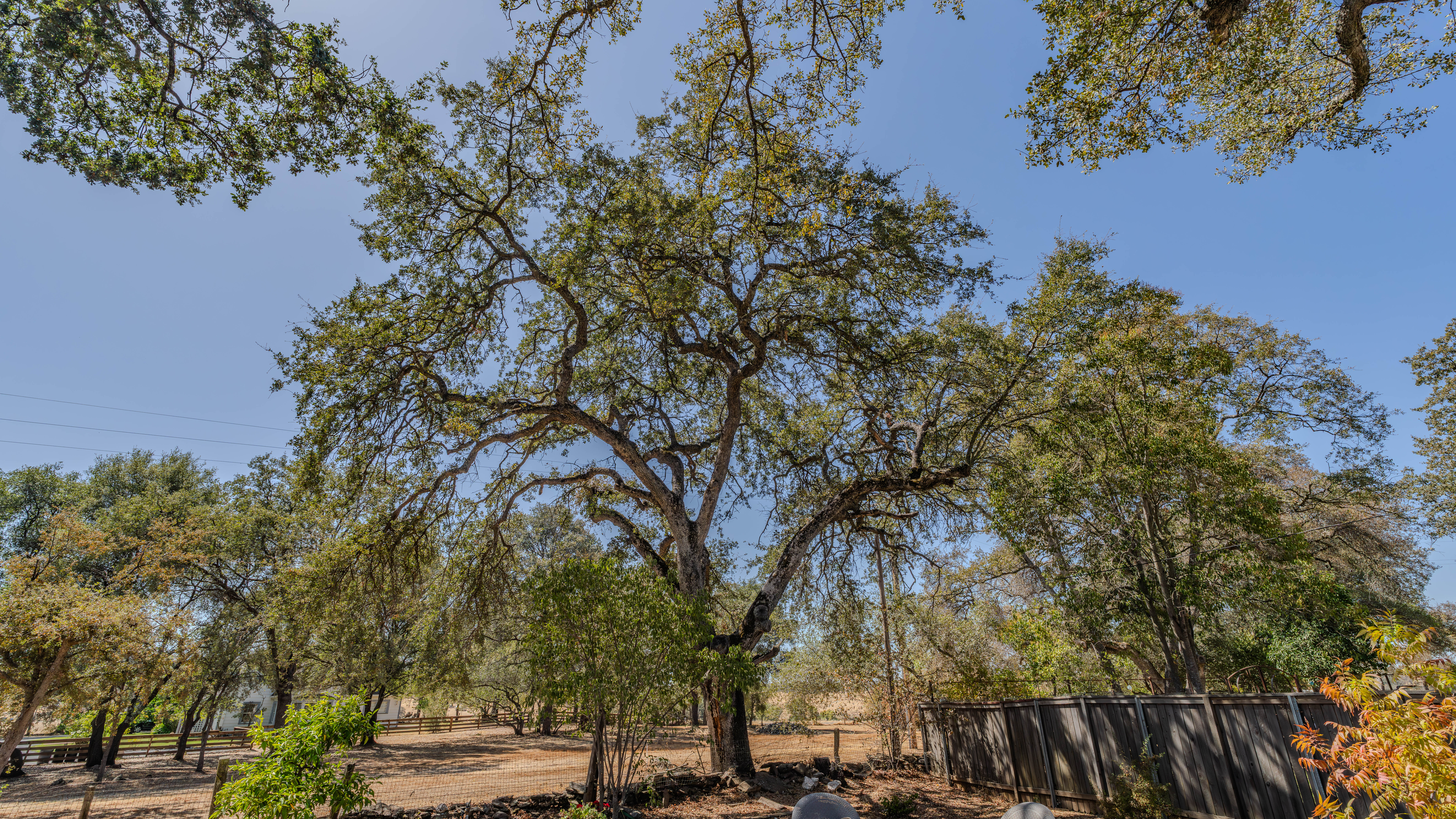  305 Patricia Lane, Sutter Creek, CA 95685 - 物件實景