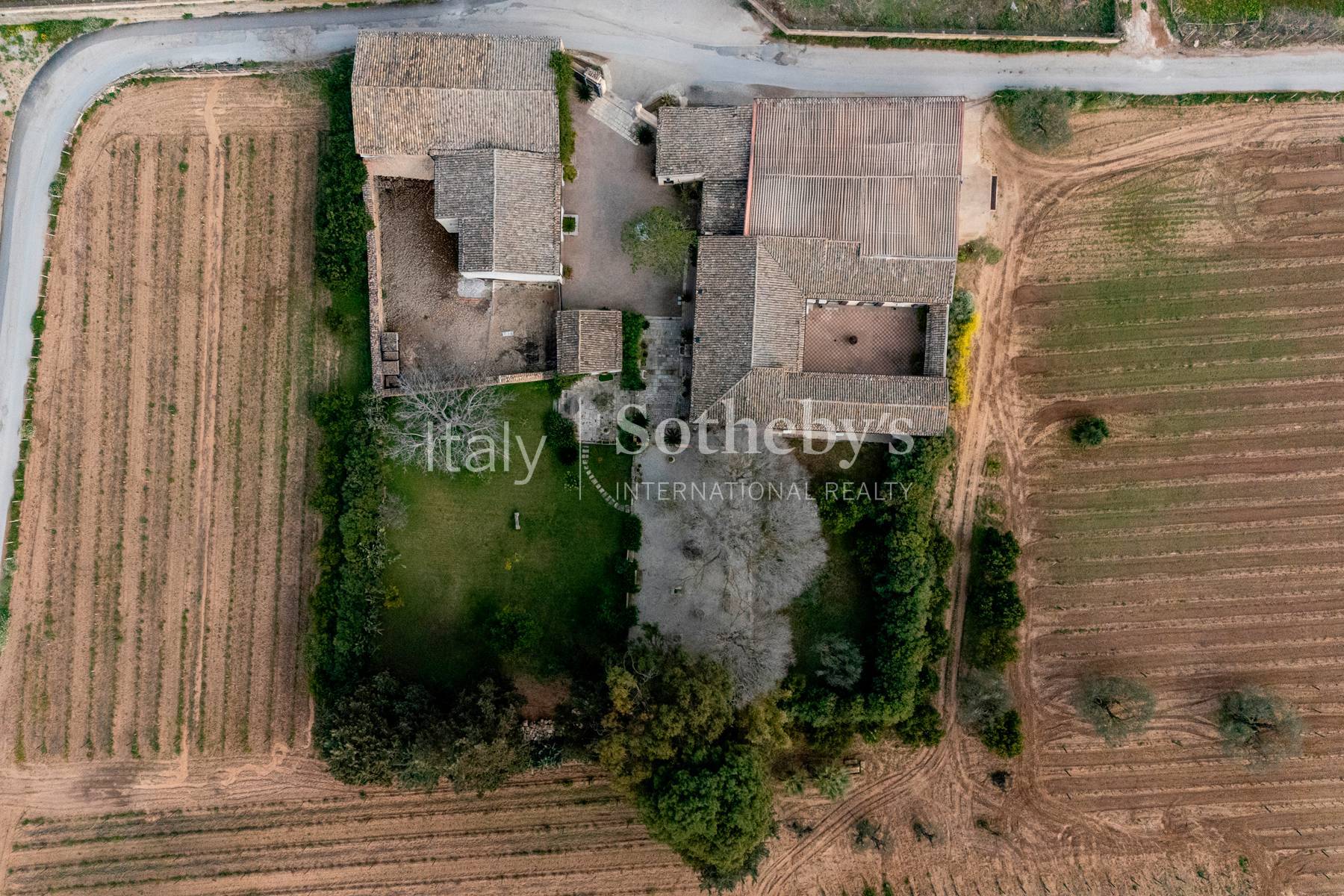  Historic Sicilian wine estate with vineyards and olive grove - 物件實景