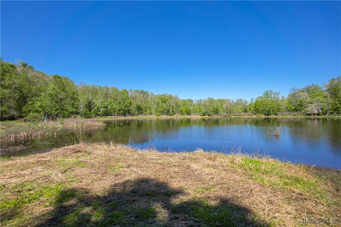 Inverness, Florida, 34450, United States, 3 Bedrooms Bedrooms, ,2 BathroomsBathrooms,Residential,For Sale,1881074