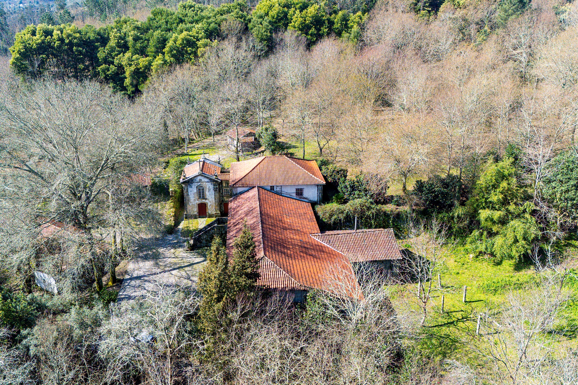  Farm for Sale - 物件實景