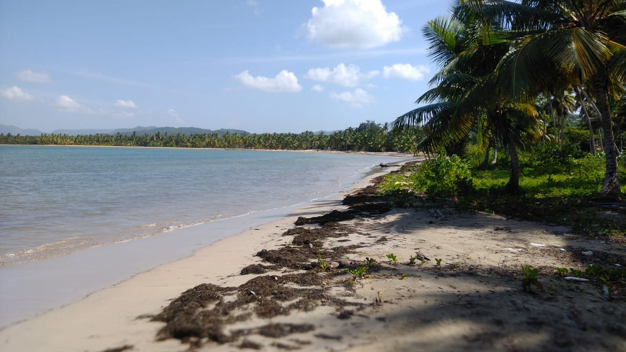 Las Terrenas, DO, ,Land,For Sale,1620981