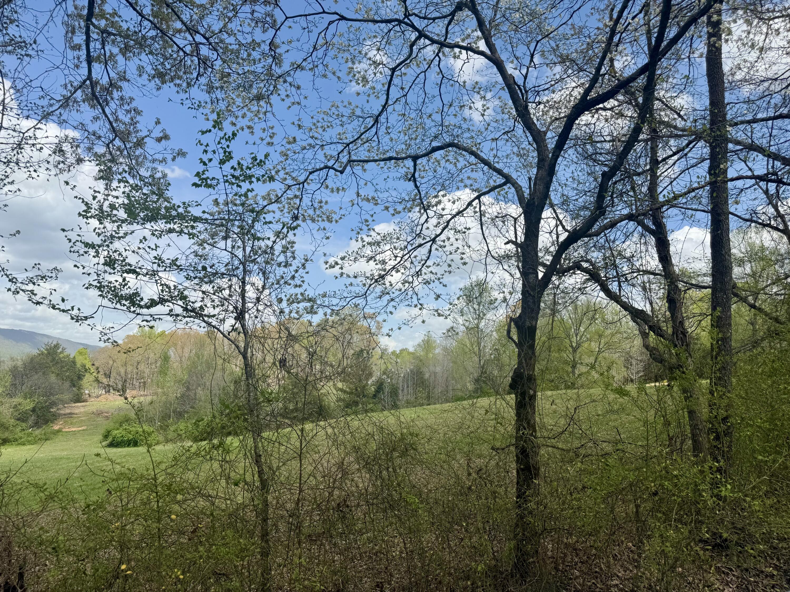 Whitwell, Tennessee, 37397, United States, ,Residential,For Sale,1763603