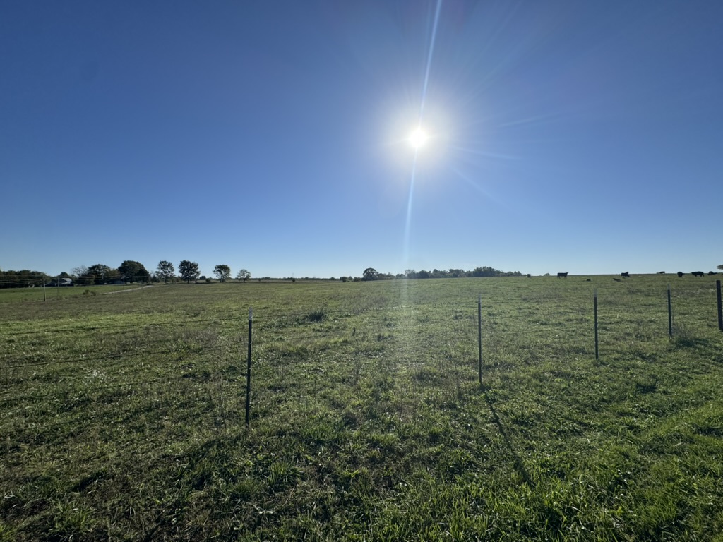 Pierce City, Missouri, 65723, United States, 2 Bedrooms Bedrooms, ,2 BathroomsBathrooms,Residential,For Sale,1987385