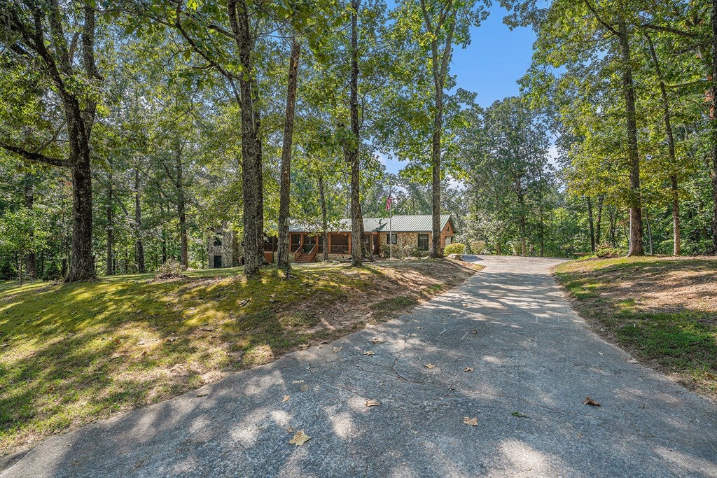 Blue Ridge, Georgia, 30513, United States, 6 Bedrooms Bedrooms, ,4 BathroomsBathrooms,Residential,For Sale,1858999
