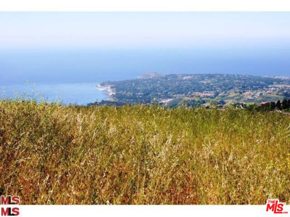 Malibu, California, 90265, United States, ,Land,For Sale,1767391