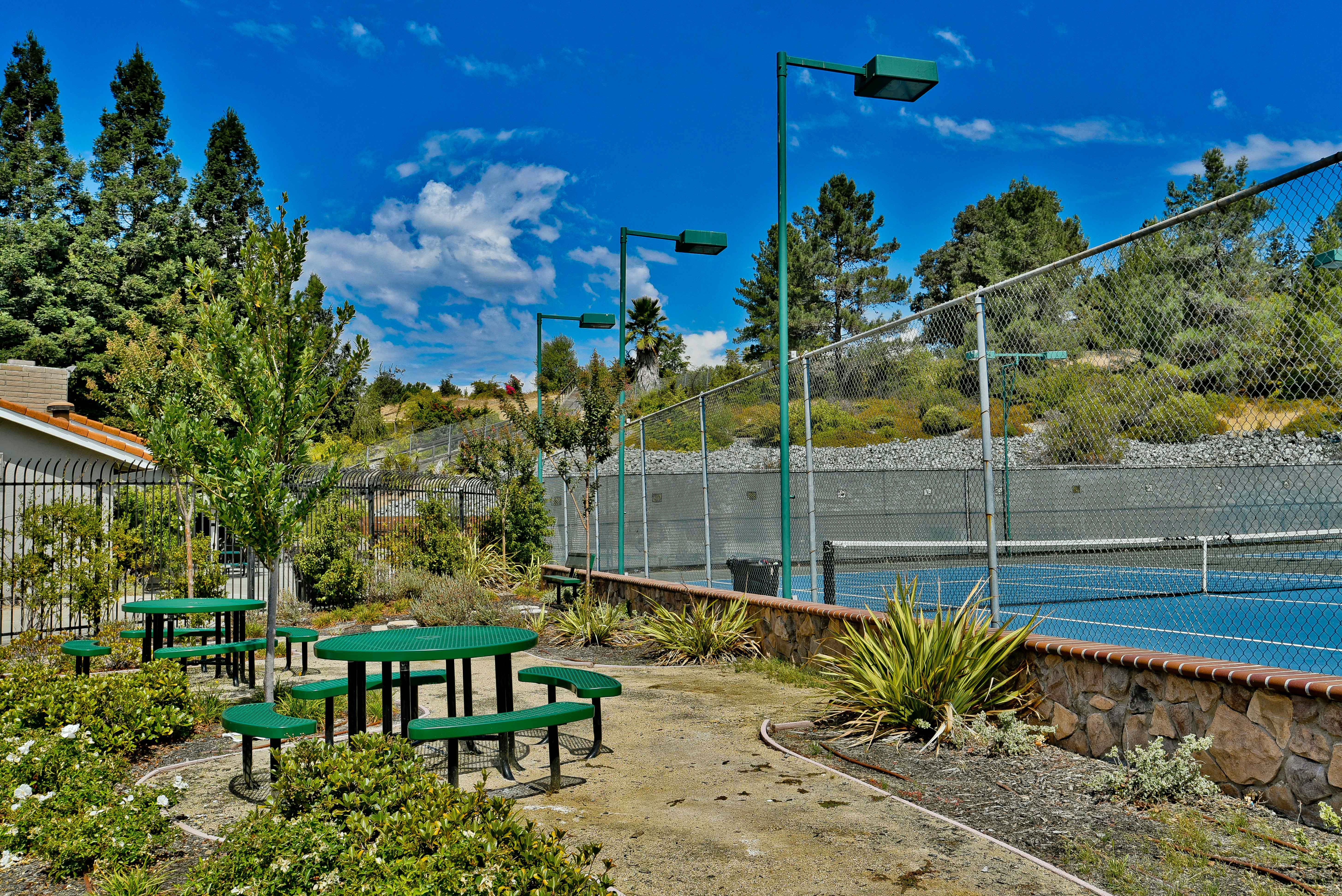  Refined Danville Living in Coveted Shadow Hills - 物件實景