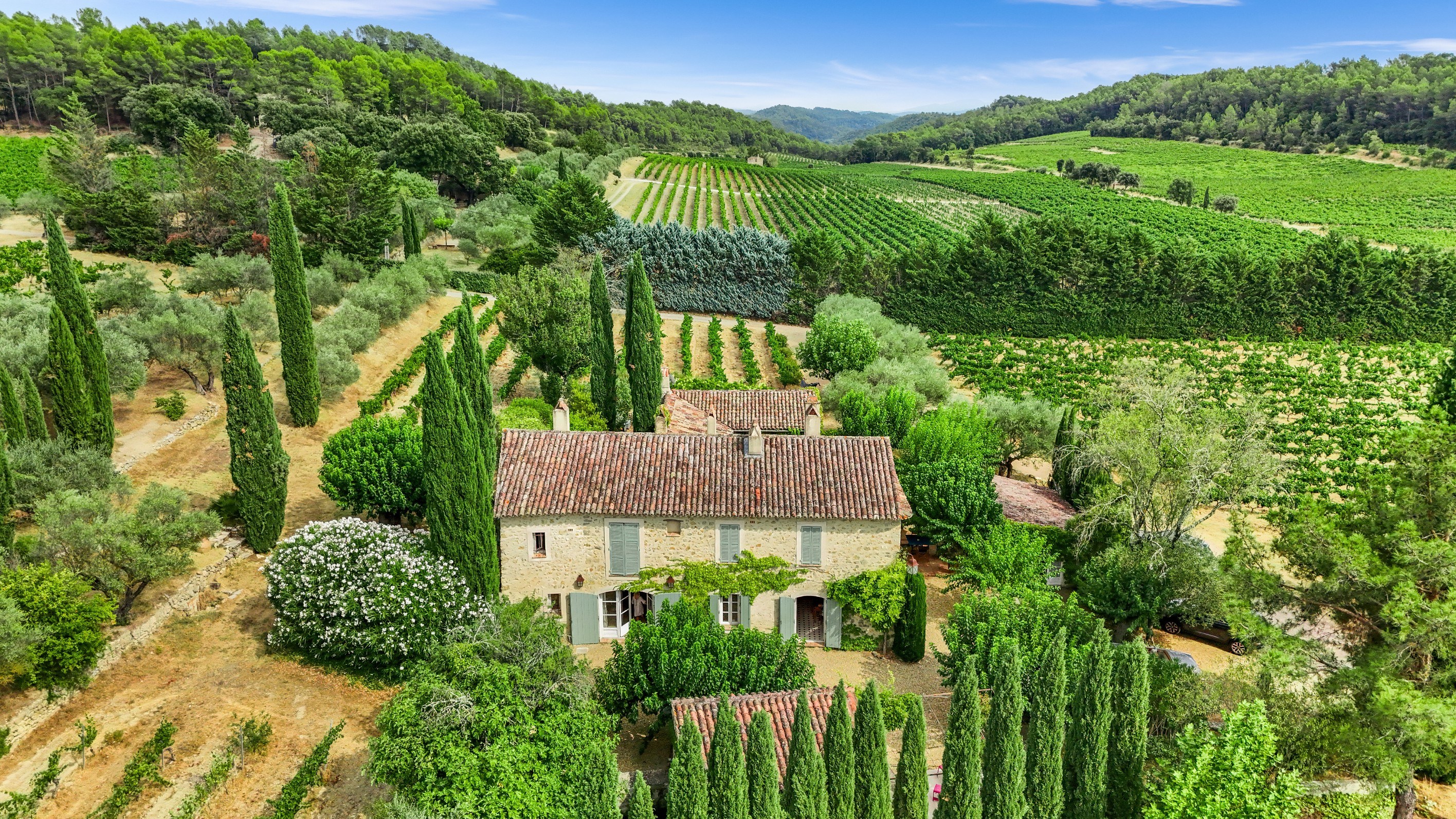  Exceptional Provençal Estate – Elegant Bastide with Pool Amidst Vineyards - 物件實景
