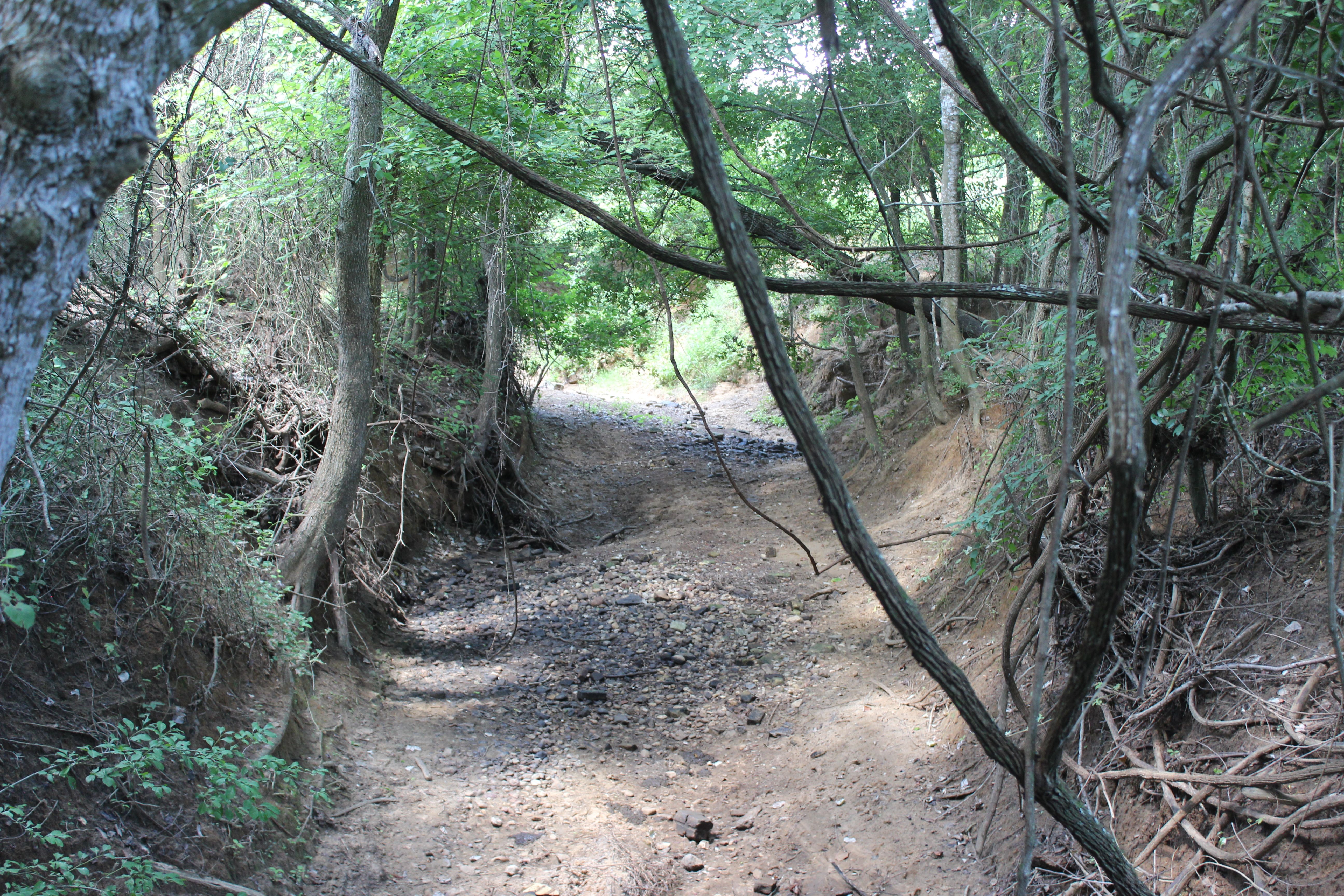  Buck Branch Ranch - 物件實景