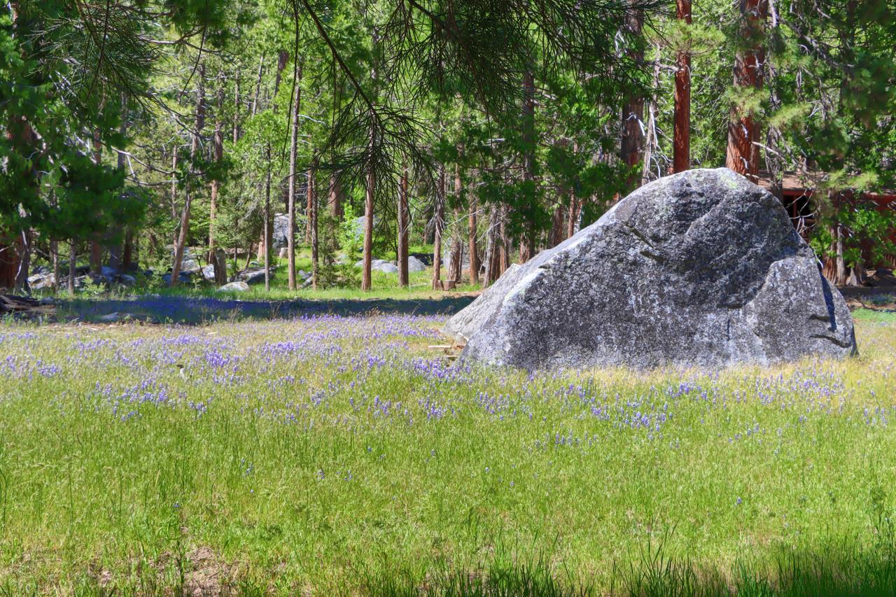 Wawona, California, 95389, United States, 3 Bedrooms Bedrooms, ,2 BathroomsBathrooms,Residential,For Sale,1835997
