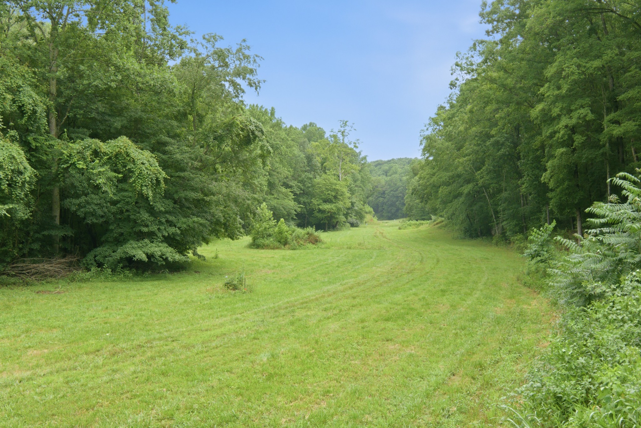  7075 Pinewood Rd, Nunnelly, TN, 37137 - 物件實景