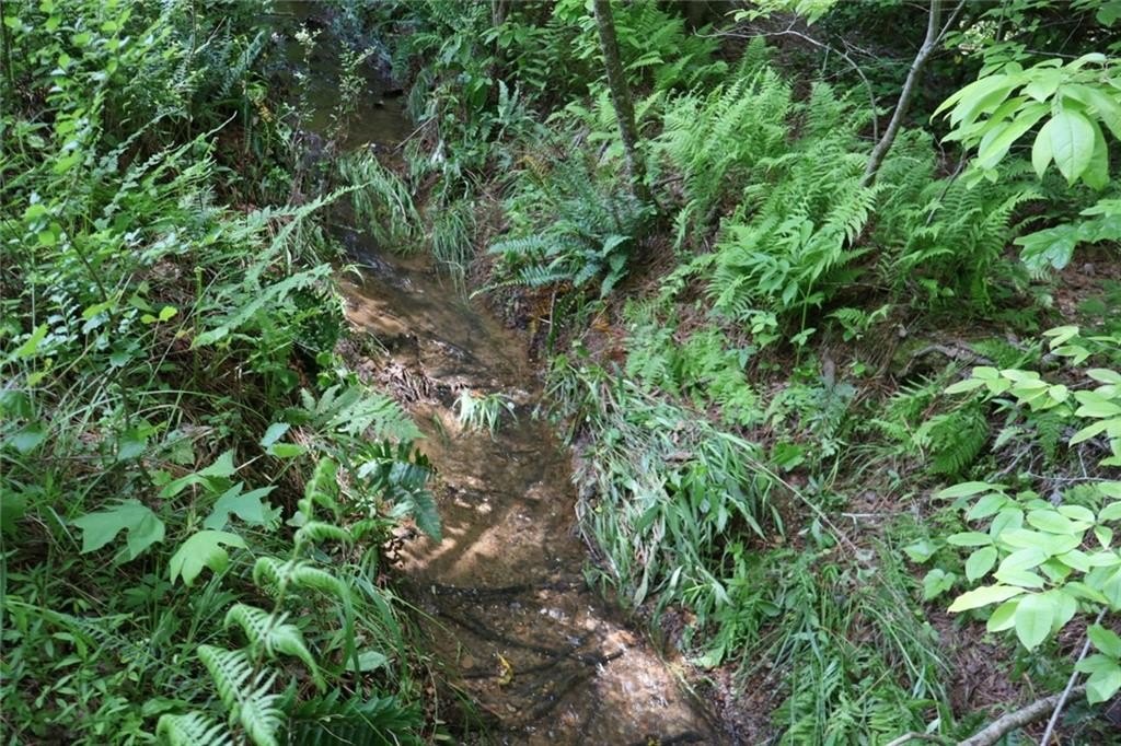 Ellijay, Georgia, 30540, United States, ,Land,For Sale,1979935