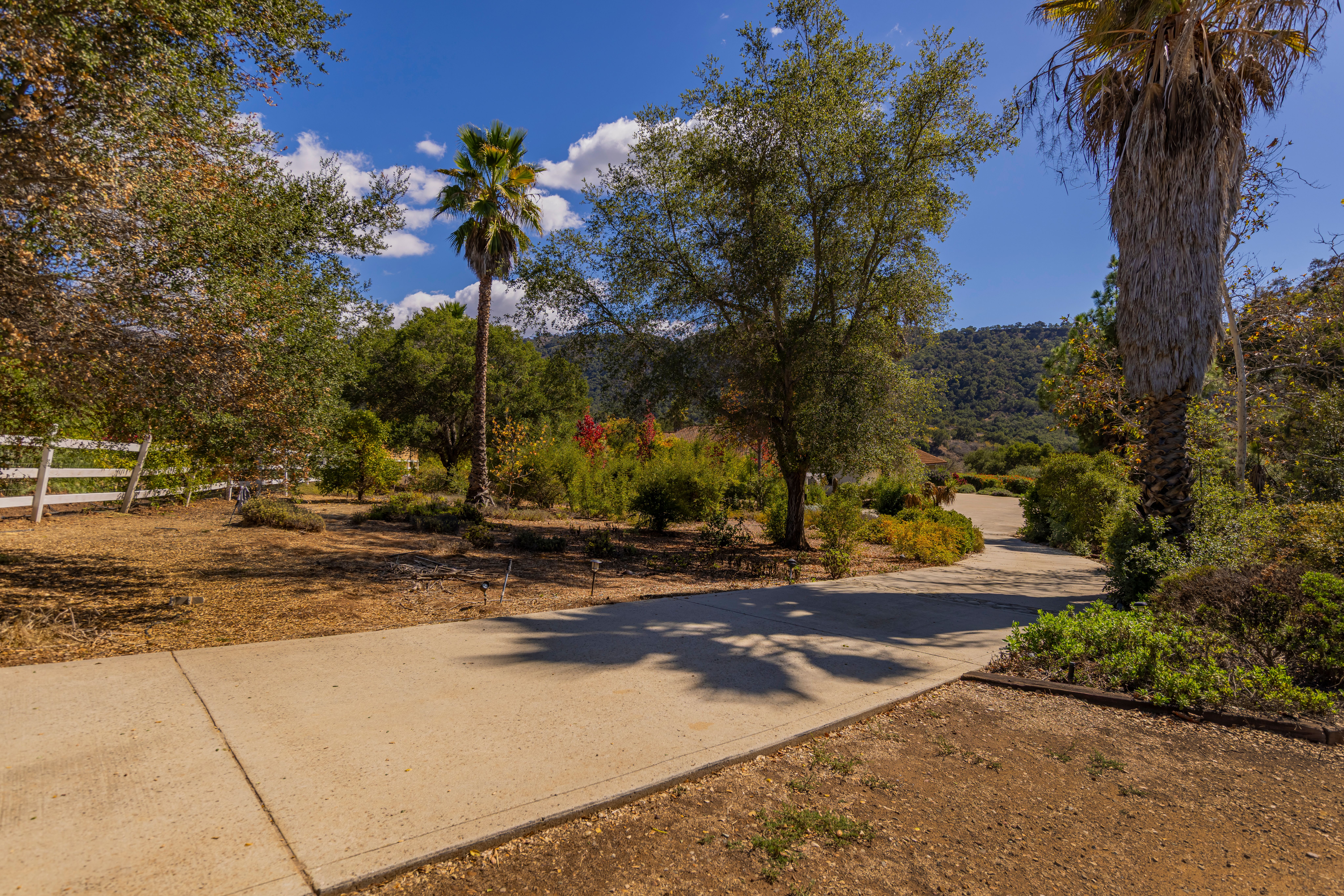  700 Thomas Street, Oak View, CA 93022 - 物件實景