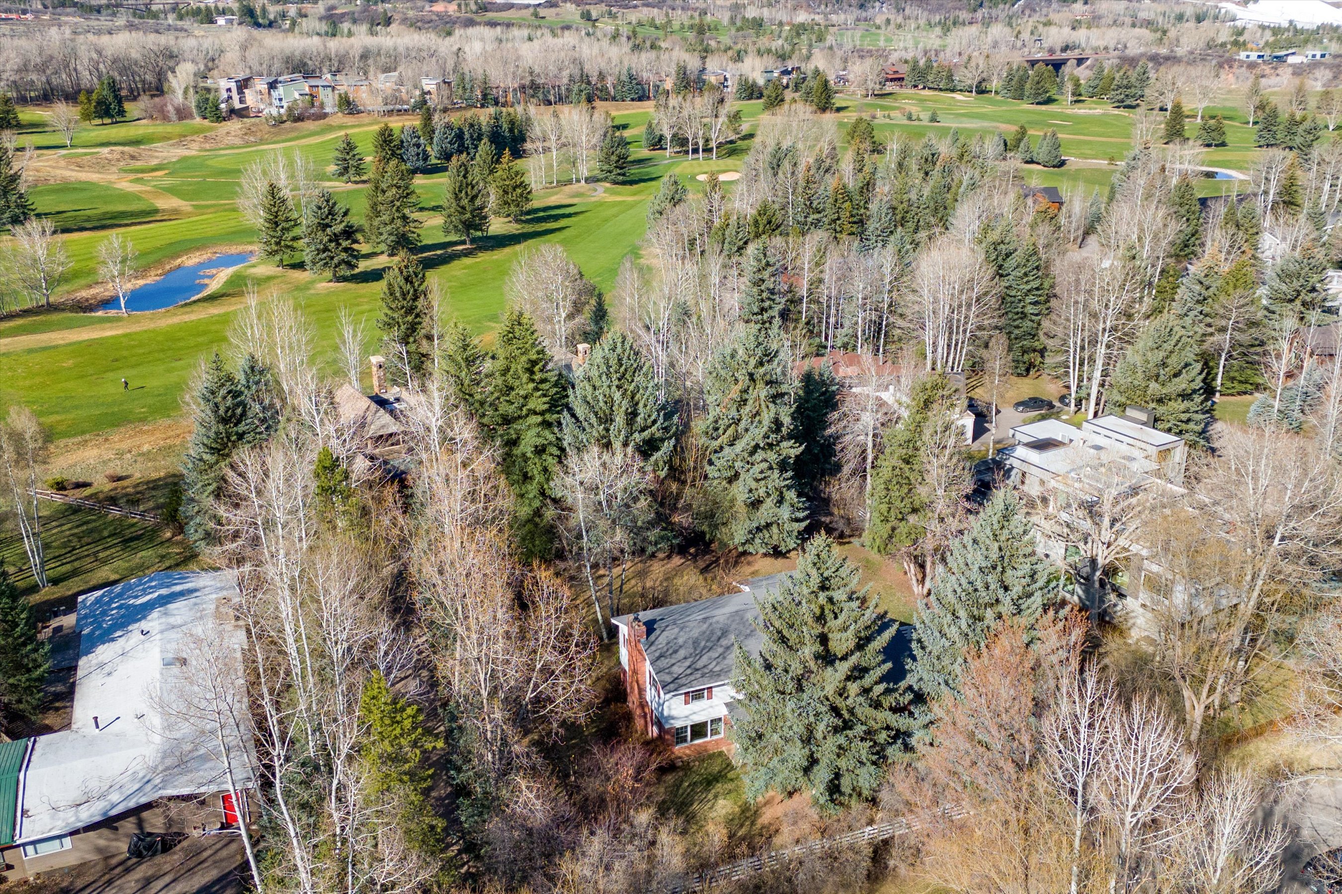  875 Bonita Drive, Aspen, CO 81611 - 物件實景
