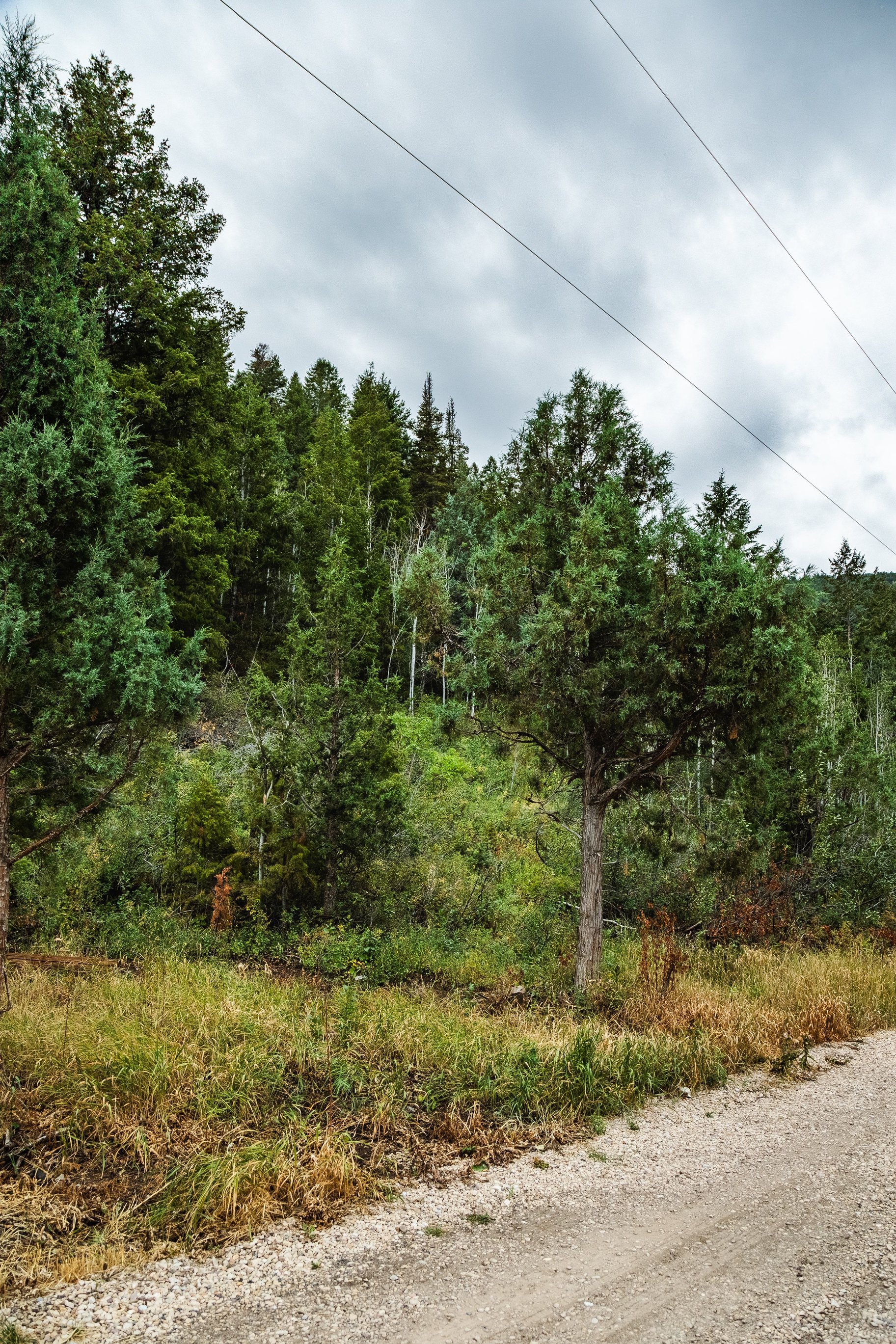  One+ Acre Off Mirror Lake Highway  Power, Septic Plan & Year Round Access - 物件實景