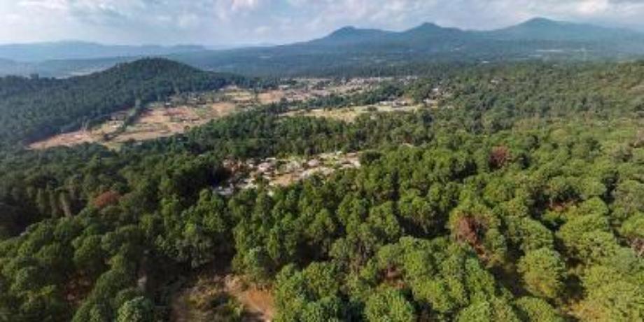 Valle de Bravo, Estado de méxico, 51200, Mexico, 1 Bedroom Bedrooms, ,Residential,For Sale,1721420