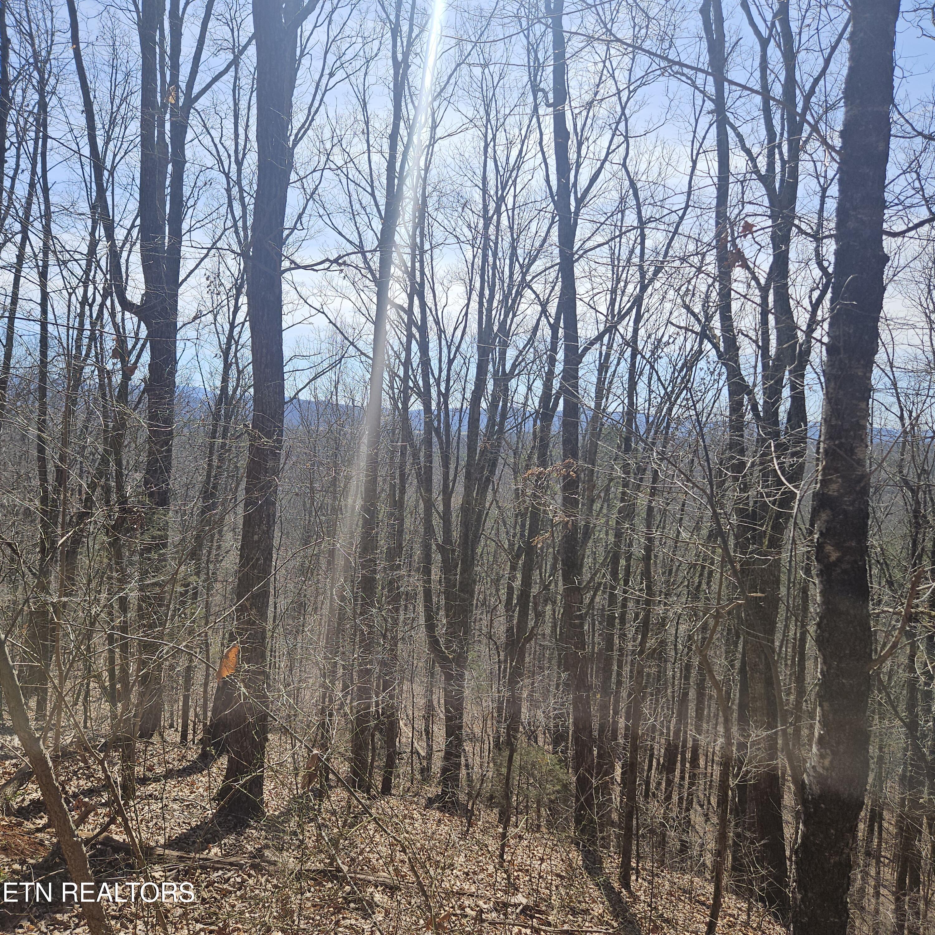 Tellico Plains, Tennessee, 37385, United States, ,Residential,For Sale,1922105