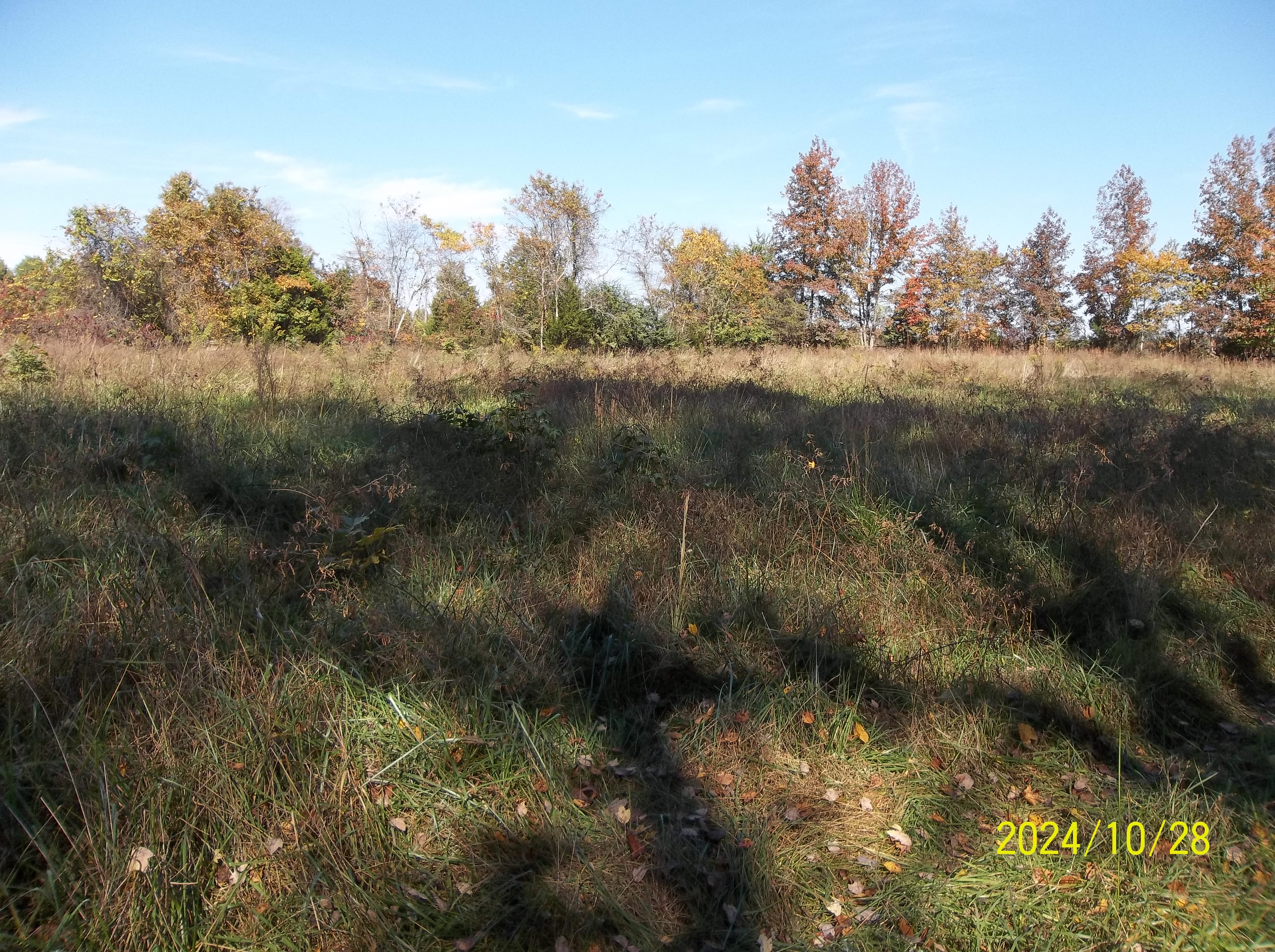Drewryville, Virginia, 23844, United States, ,Residential,For Sale,1924271