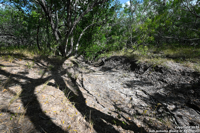 Nixon, Texas, 78140, United States, ,Residential,For Sale,1988320