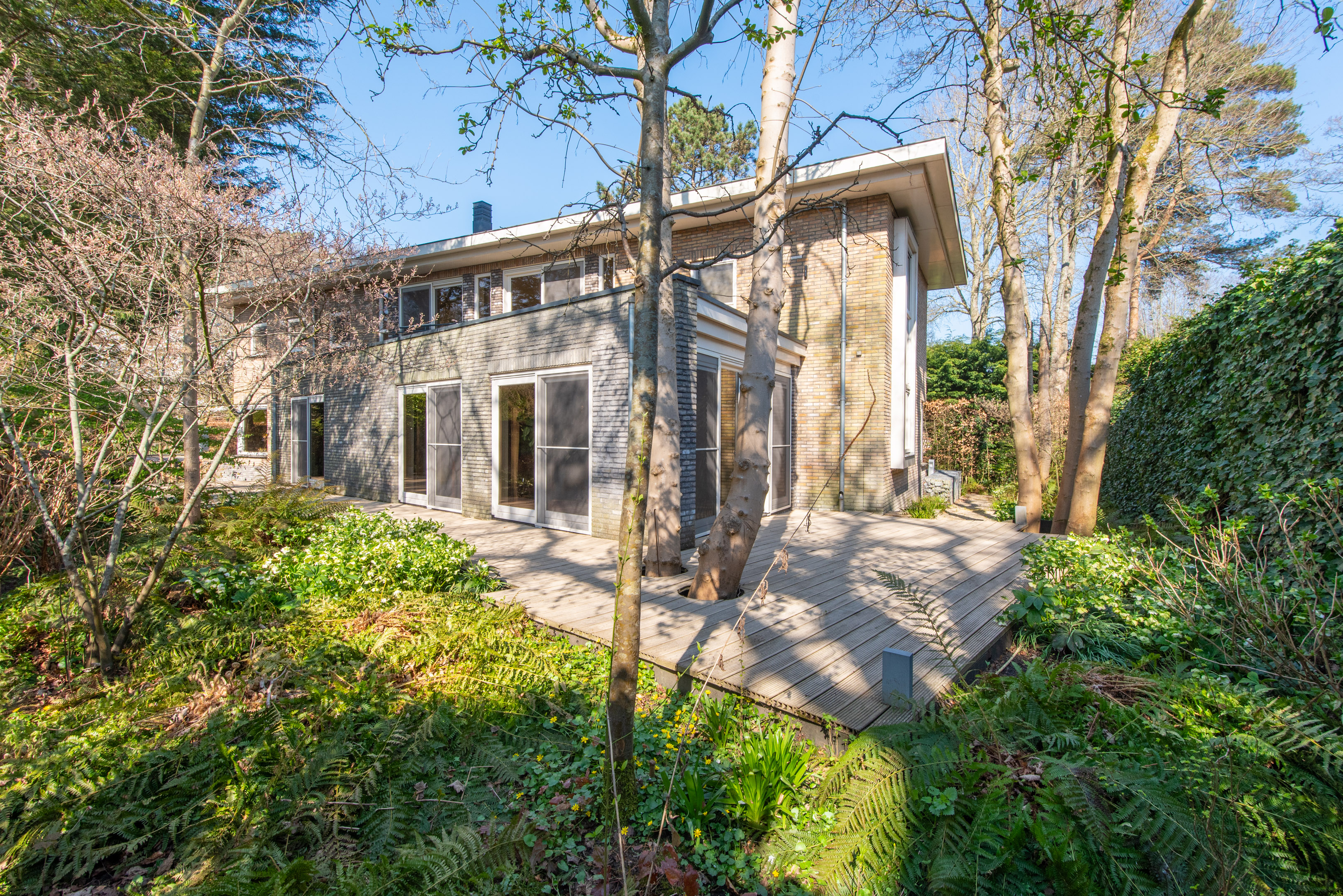  Exclusive living at the edge of the forest in Bergen - 物件實景