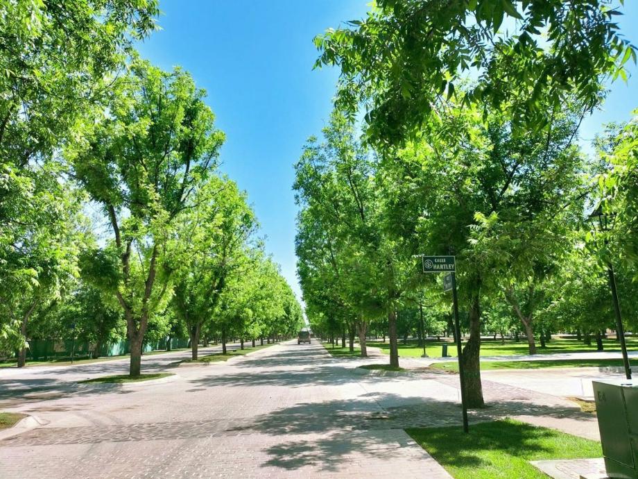 HACIENDA DEL NOGAL, Durango, Durango, 34194, Mexico, 1 Bedroom Bedrooms, ,Residential,For Sale,HACIENDA DEL NOGAL,1416292