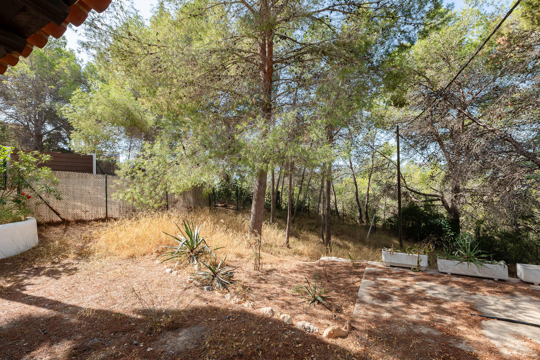  Rustic property with views of Ibiza in Montecristo - 物件實景