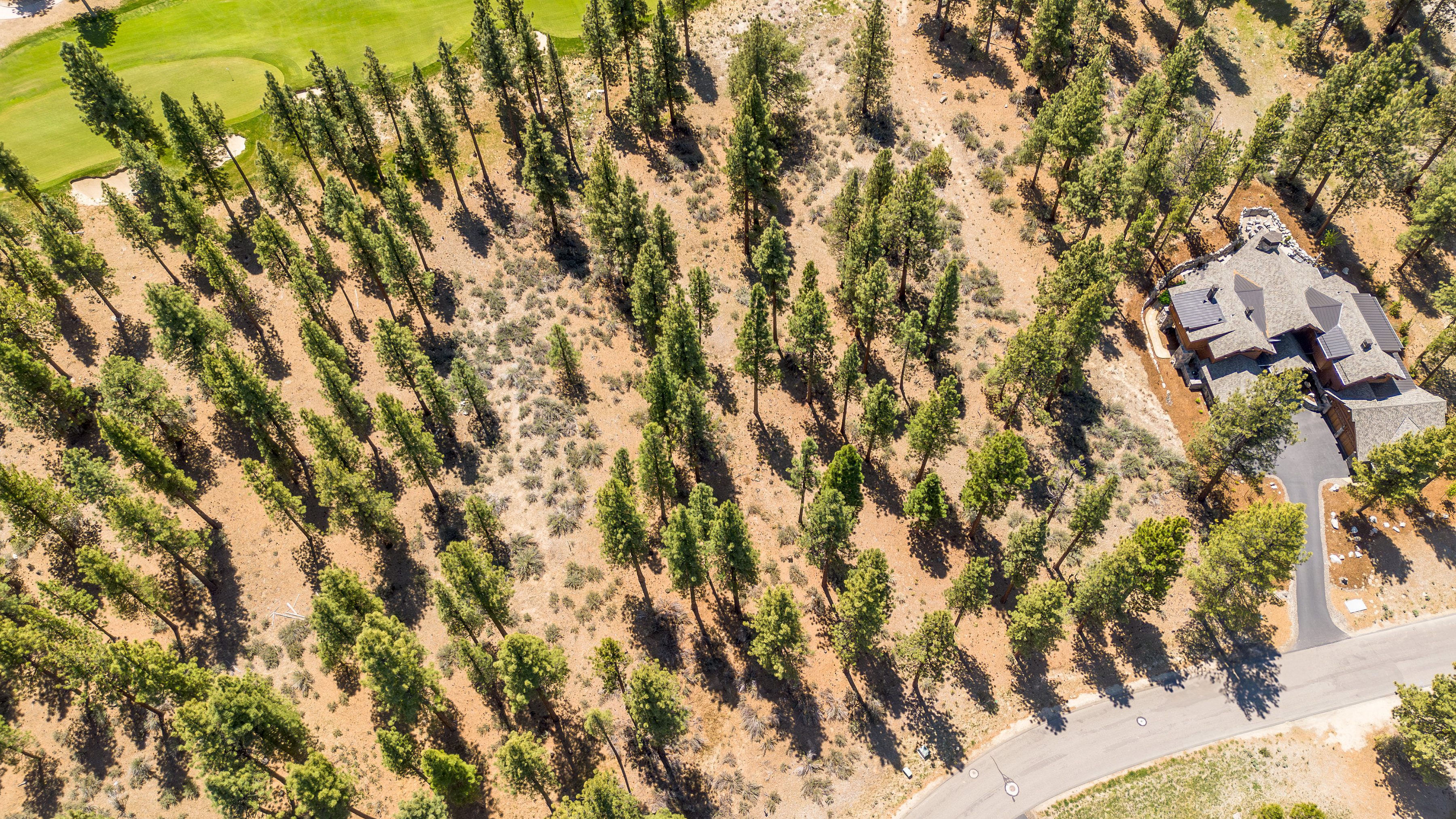  Two Extraordinary Pieces of Land in Clear Creek Tahoe - 物件實景