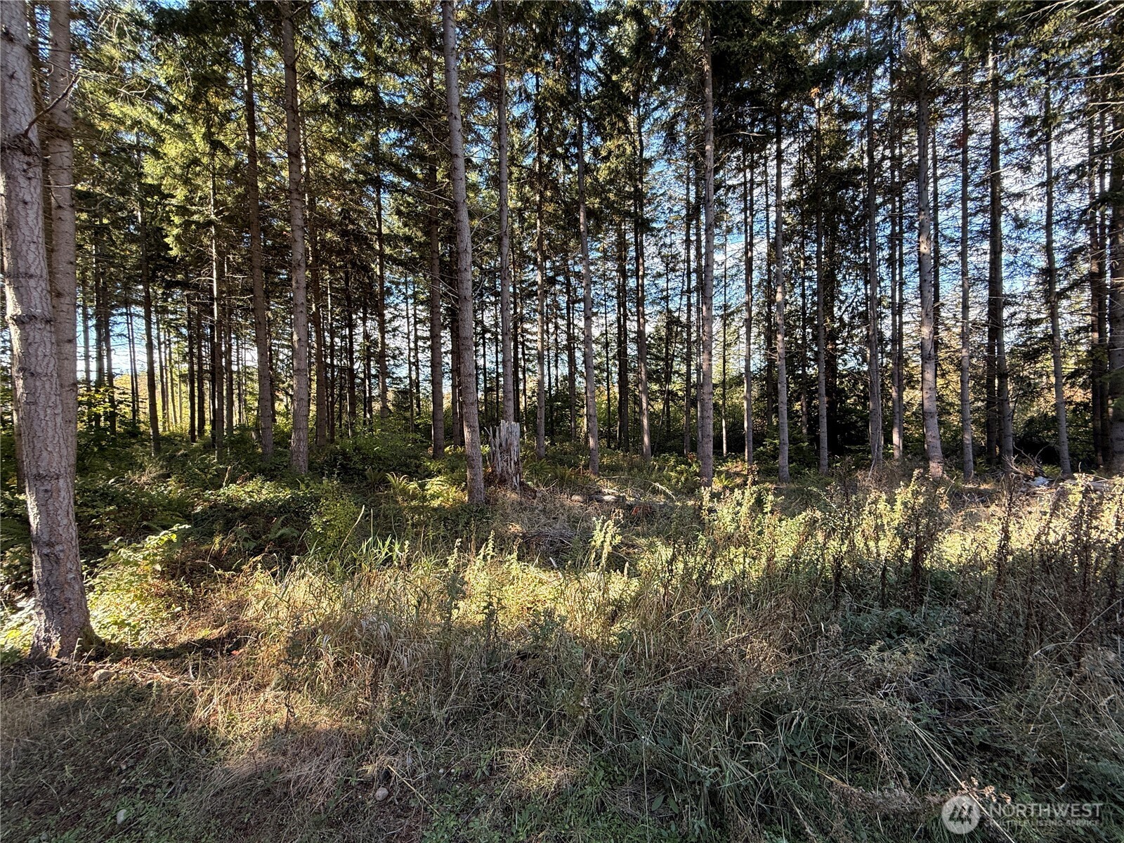 Rainier, Washington, 98576, United States, ,Land,For Sale,1998419