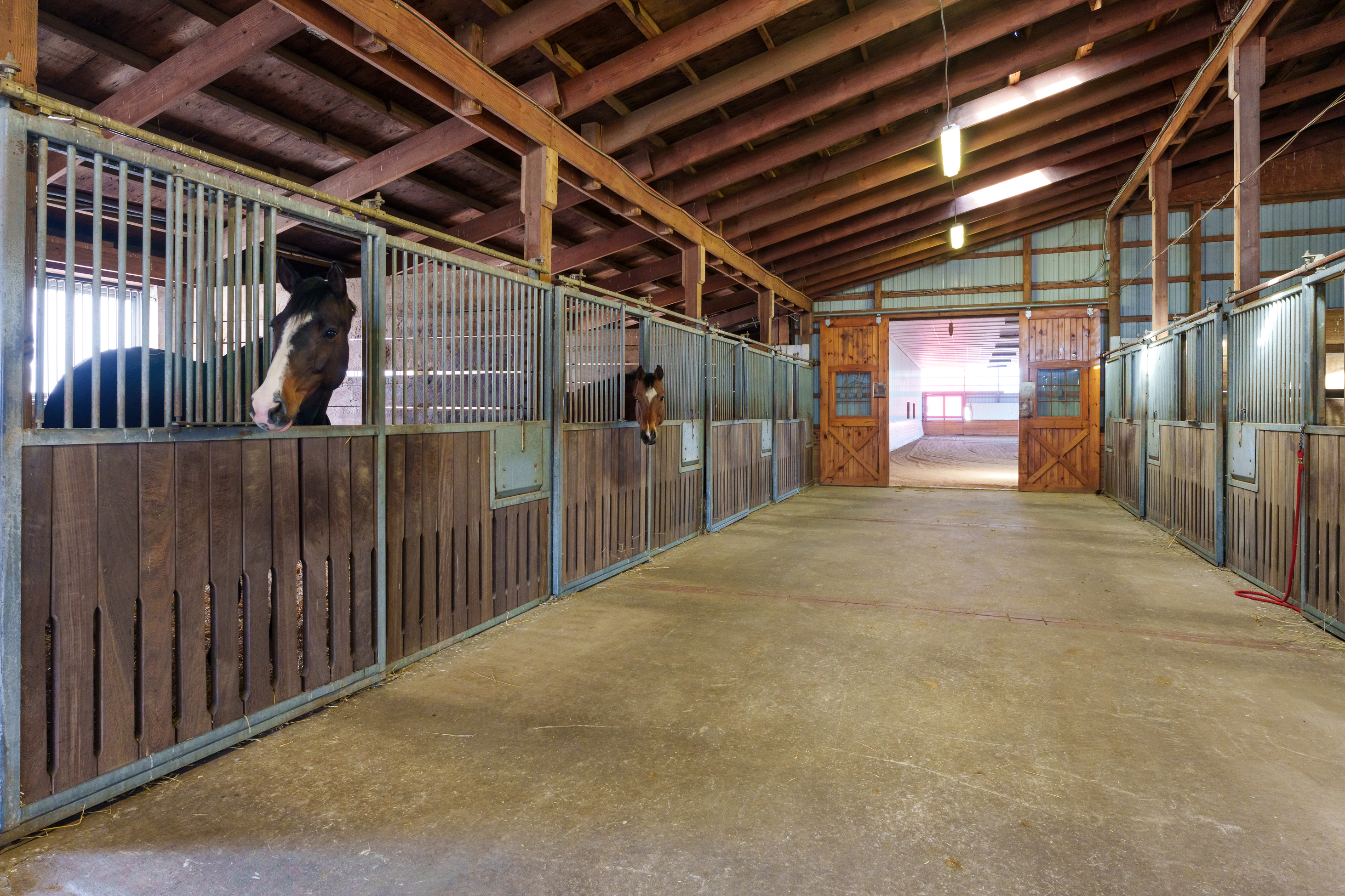  Turn-key Exceptional Princeton Area Equestrian Estate and Preserved Farm - 物件實景