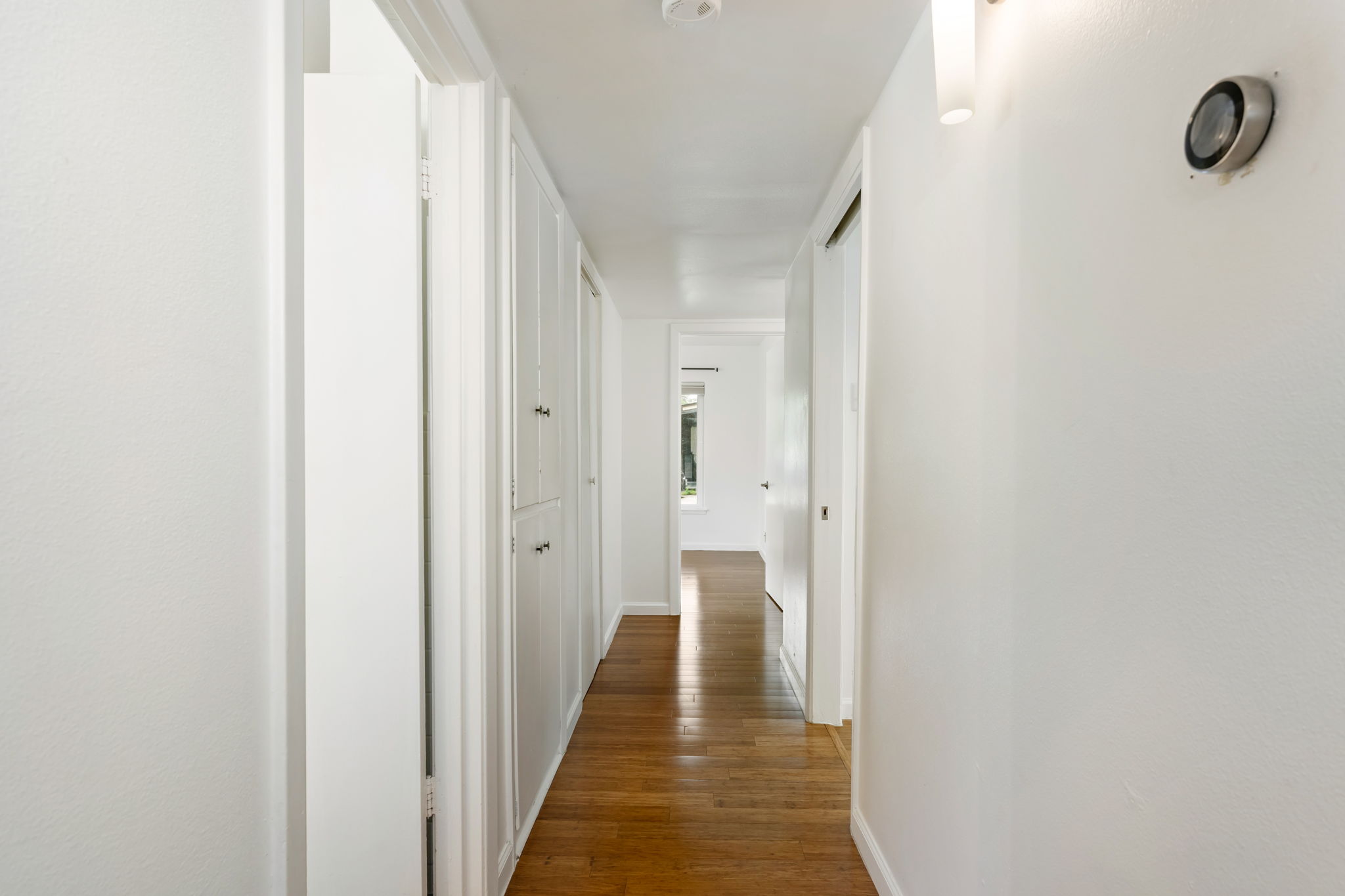  Refined Mid-Century Modern with Casita in Alamo Heights ISD - 物件實景