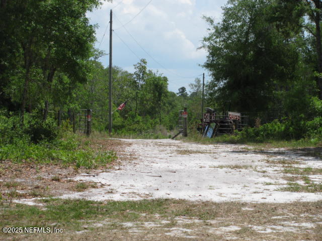 DeLeon Springs, Florida, 32130, United States, ,Land,For Sale,1978390