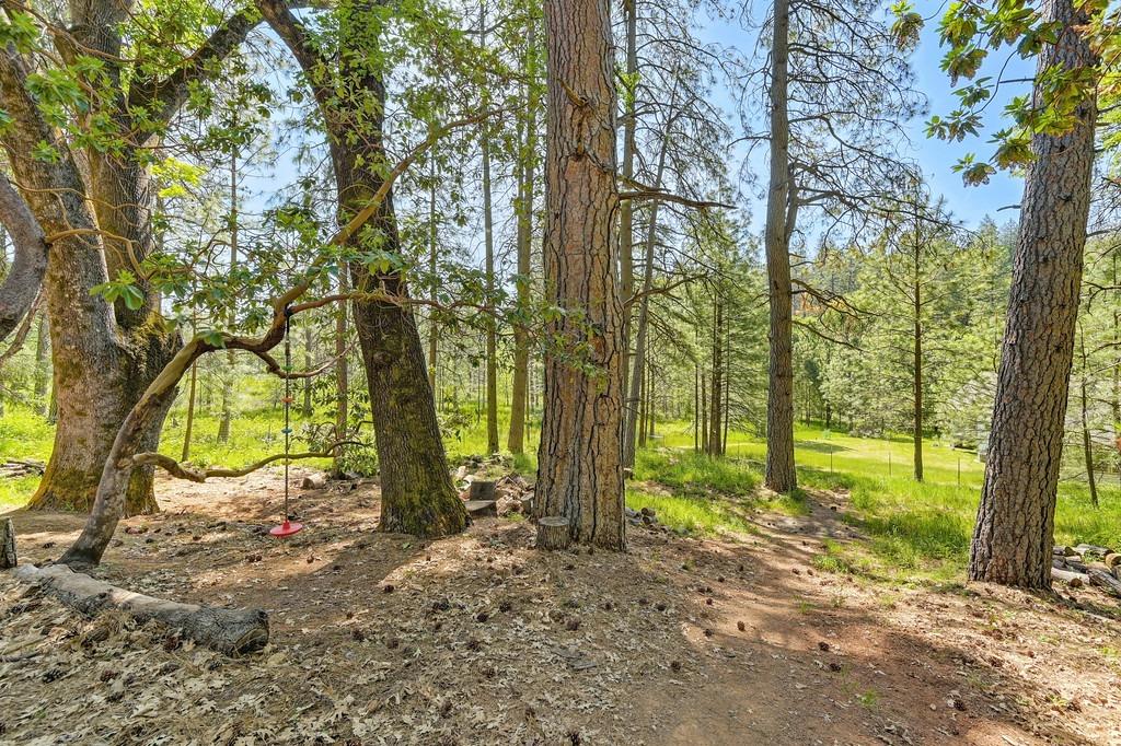 Foresthill, California, 95631, United States, 3 Bedrooms Bedrooms, ,2 BathroomsBathrooms,Residential,For Sale,1819375