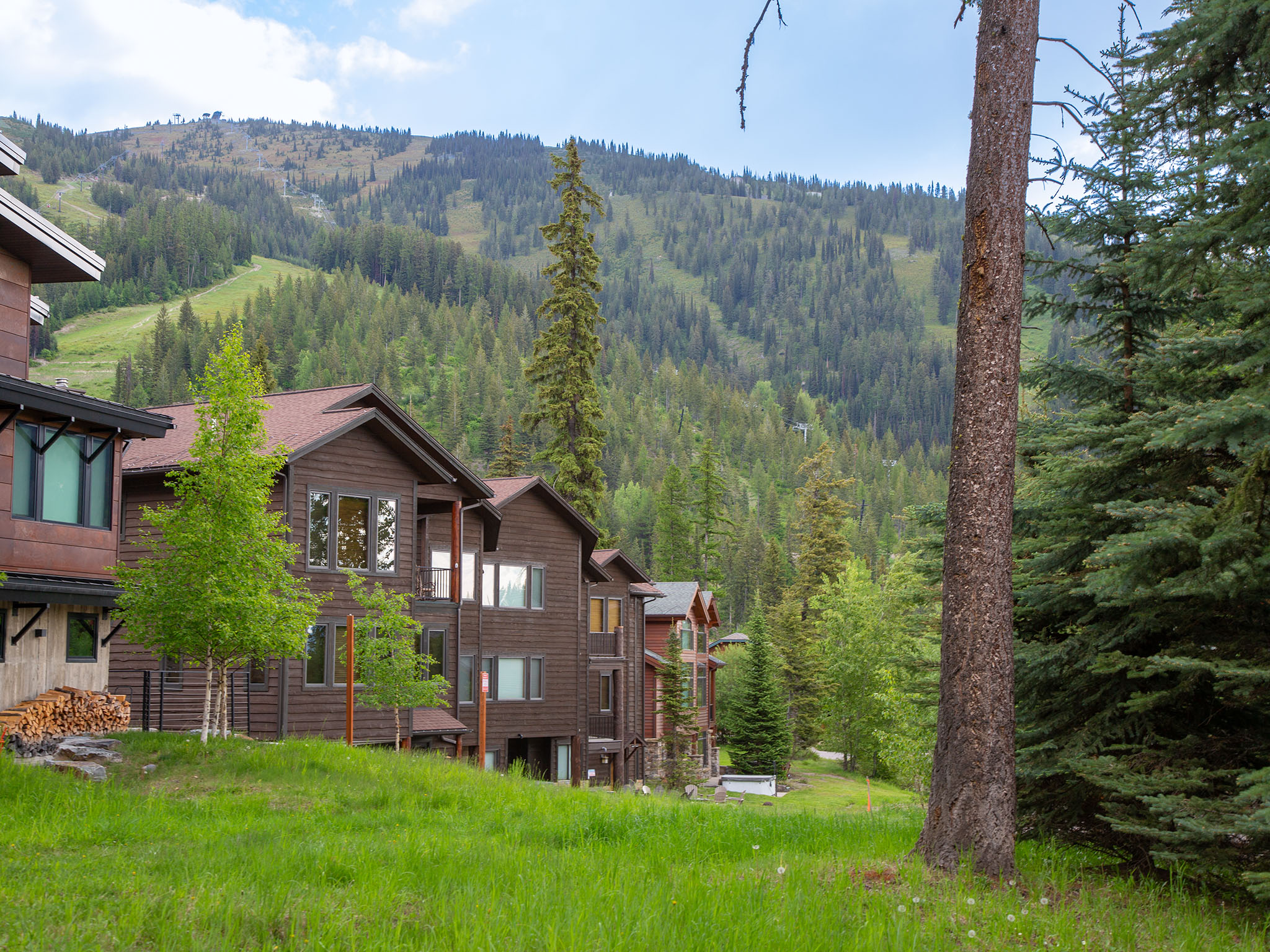  398 Moose Run Drive, Whitefish - 物件實景