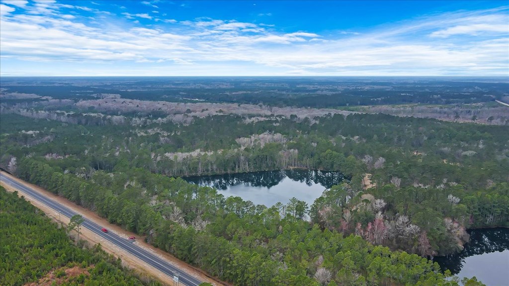 156 AC Us Hwy 17 Hwy, Townsend, Georgia, 31331, United States, ,Land,For Sale,156 AC Us Hwy 17 Hwy,1472997