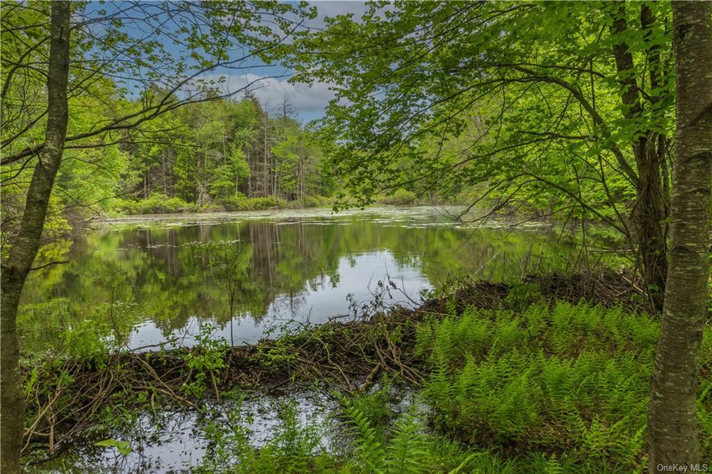 Monticello, New York, 12701, United States, ,Residential,For Sale,1980735