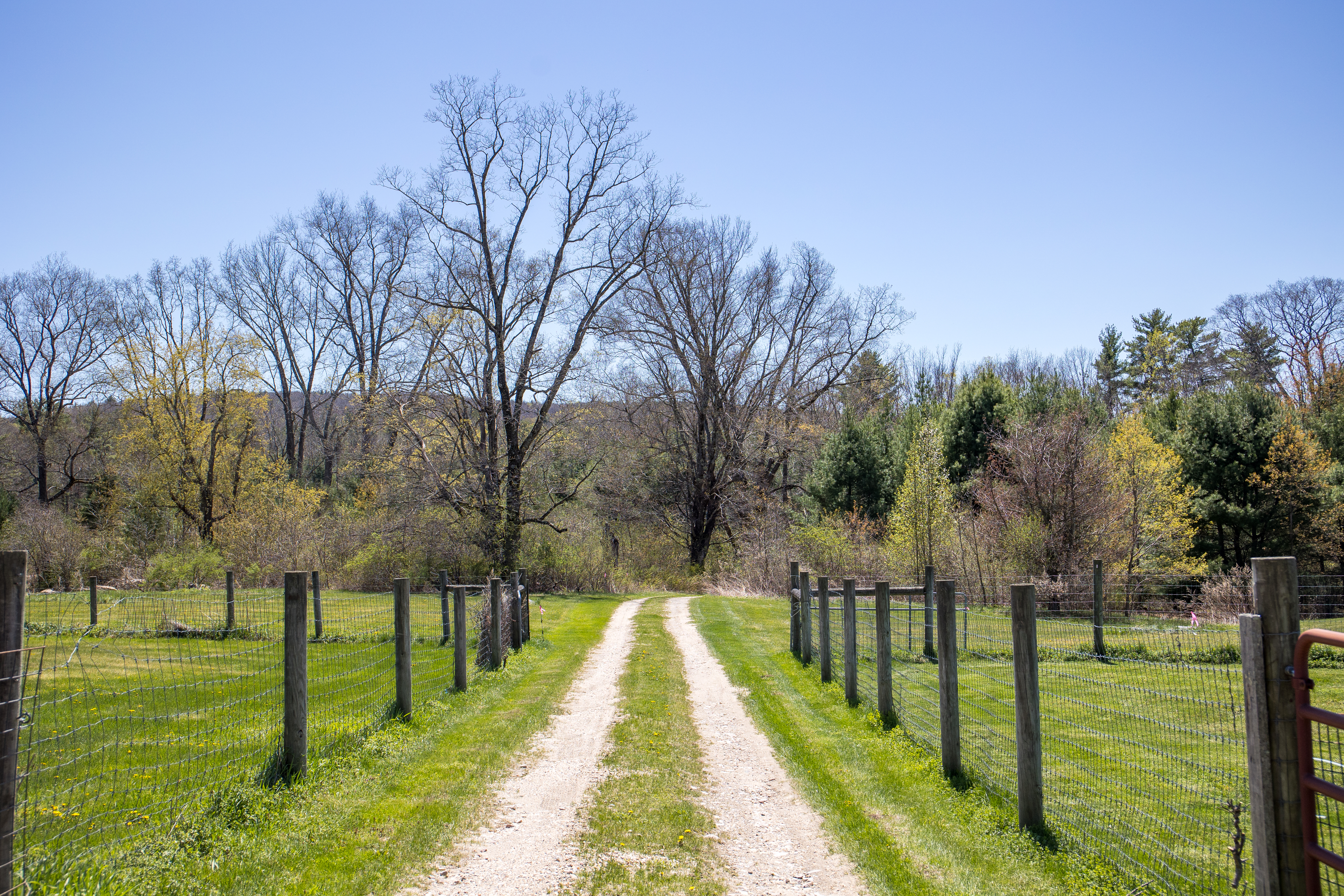  A Tranquil Berkshire Legacy: 22 Scenic Acres and a Landmark 3-Story Barn, Brookm - 物件實景