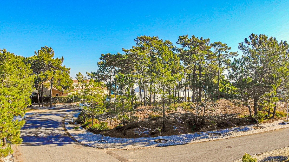 Grândola, Setúbal, 7570-779, PT, ,Land,For Sale,1699910