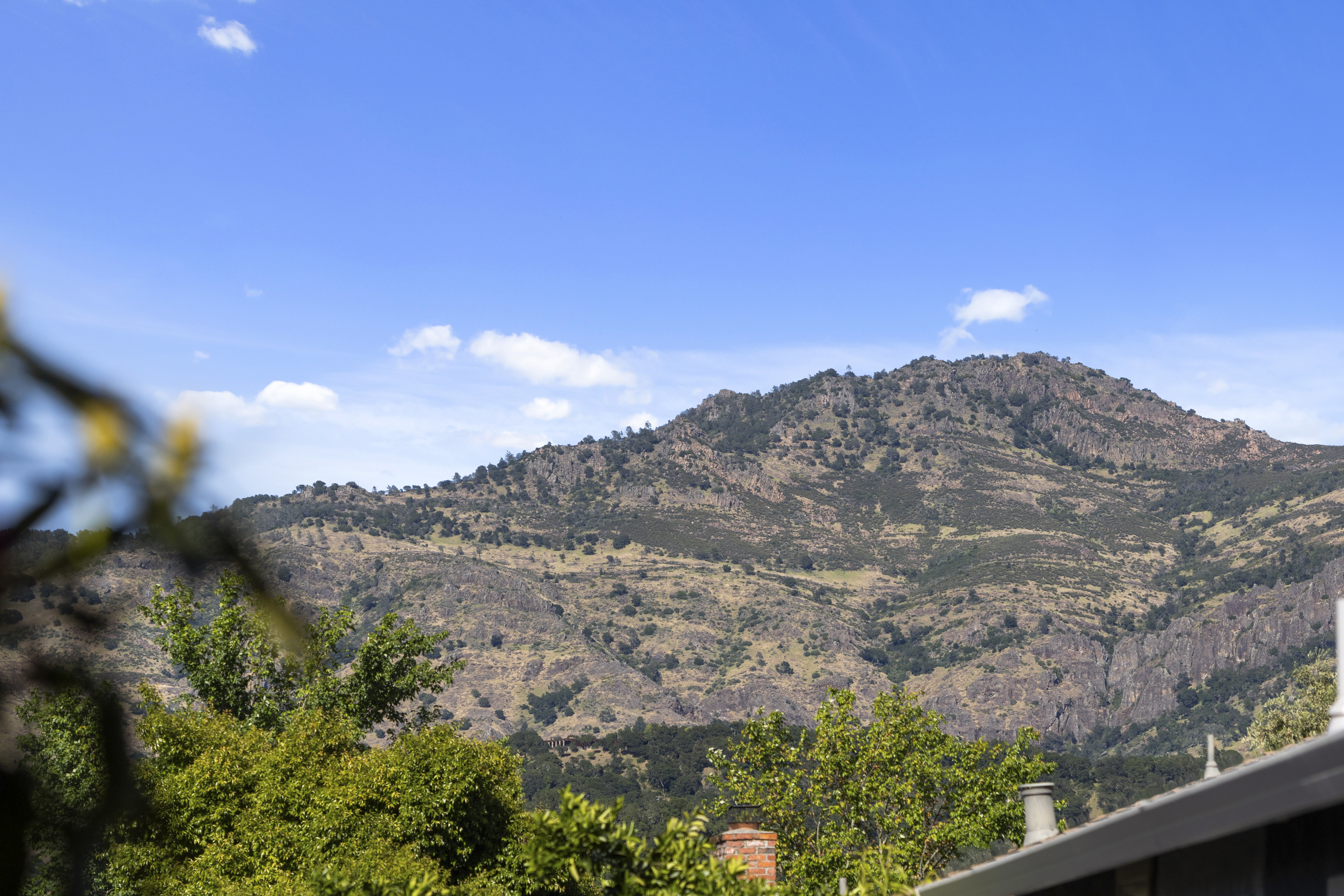  An Exceptional Wine Country Opportunity in the Heart of Yountville - 物件實景